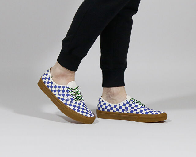 Vans Authentic Erkek Günlük Ayakkabı VN0009PVY6Z1 Renkli görsel 8