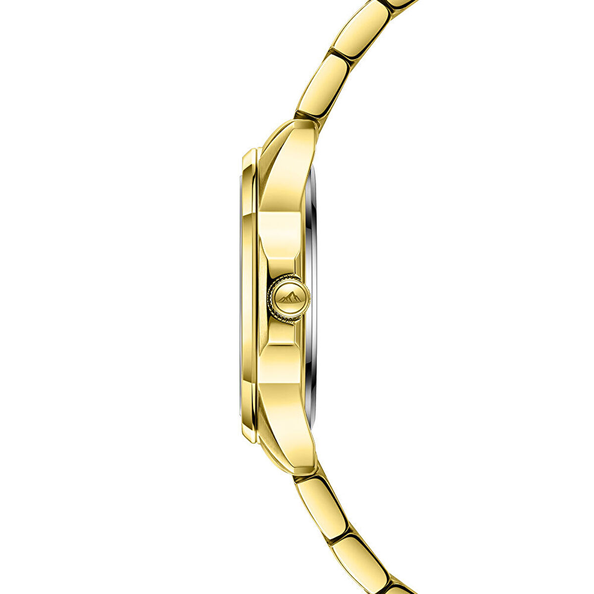 Roche Montre RML5007-05 Kadın Kol Saati görsel 2
