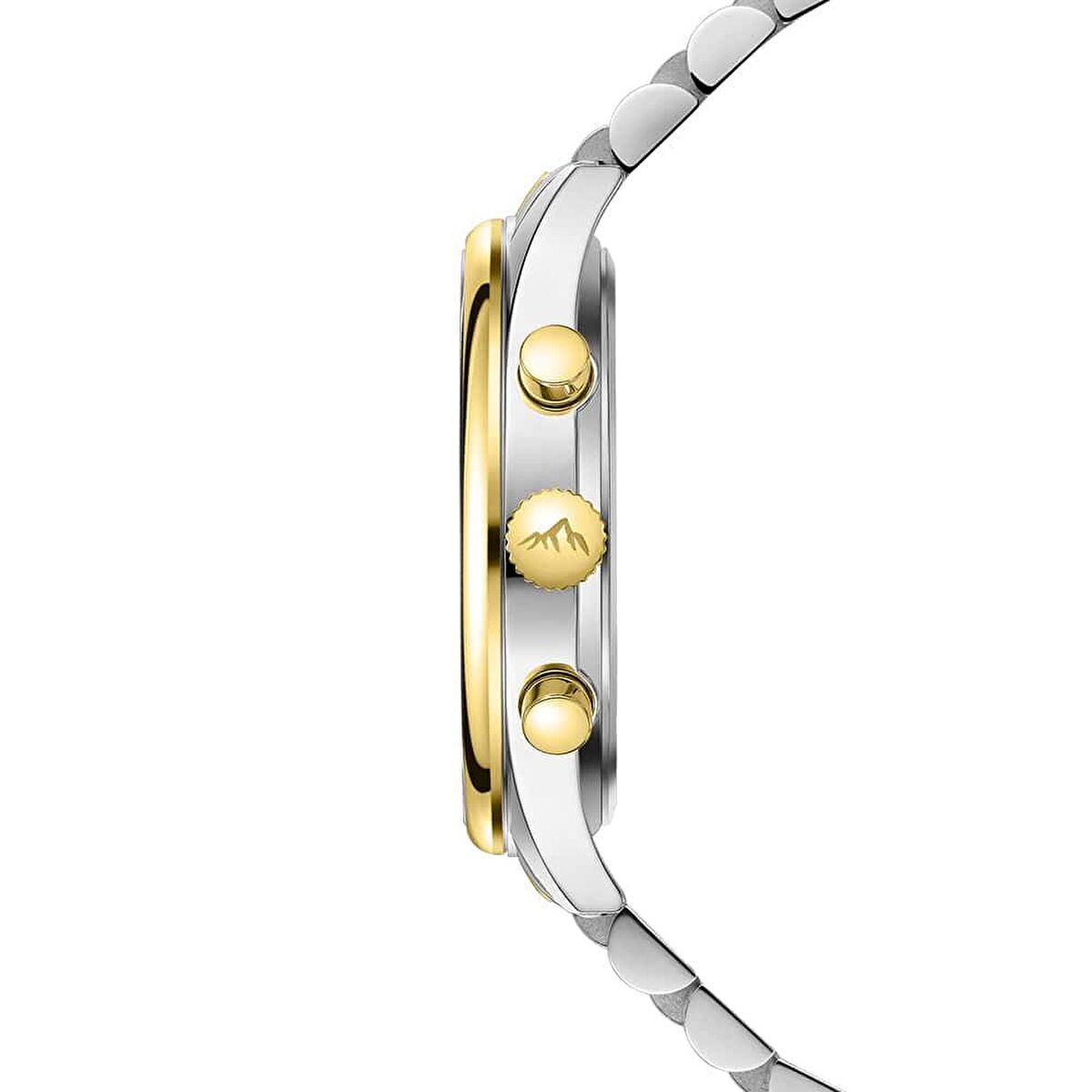 Roche Montre RMG6011-06 Erkek Kol Saati görsel 2