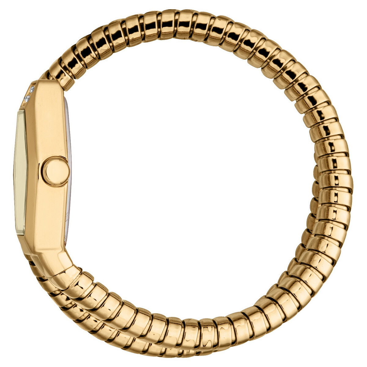 Just Cavalli JC1L394M0025 Kadın Kol Saati görsel 3