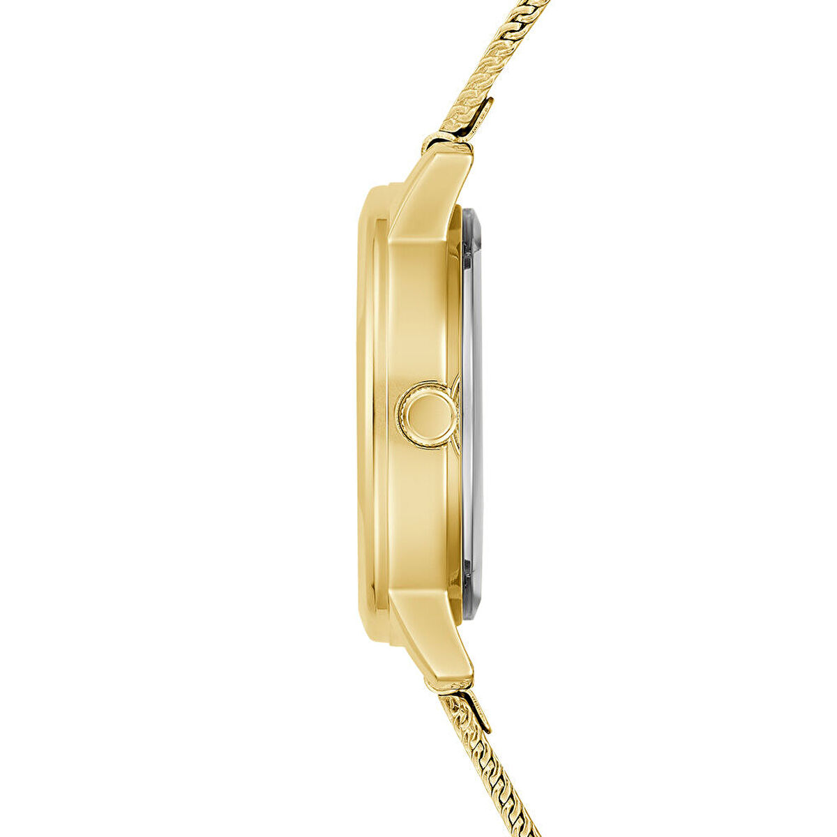 Guess GUGW0666L2 Kadın Kol Saati görsel 2