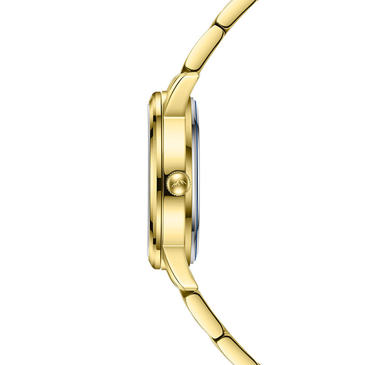 Roche Montre RML5014-04 Kadın Kol Saati görsel 2