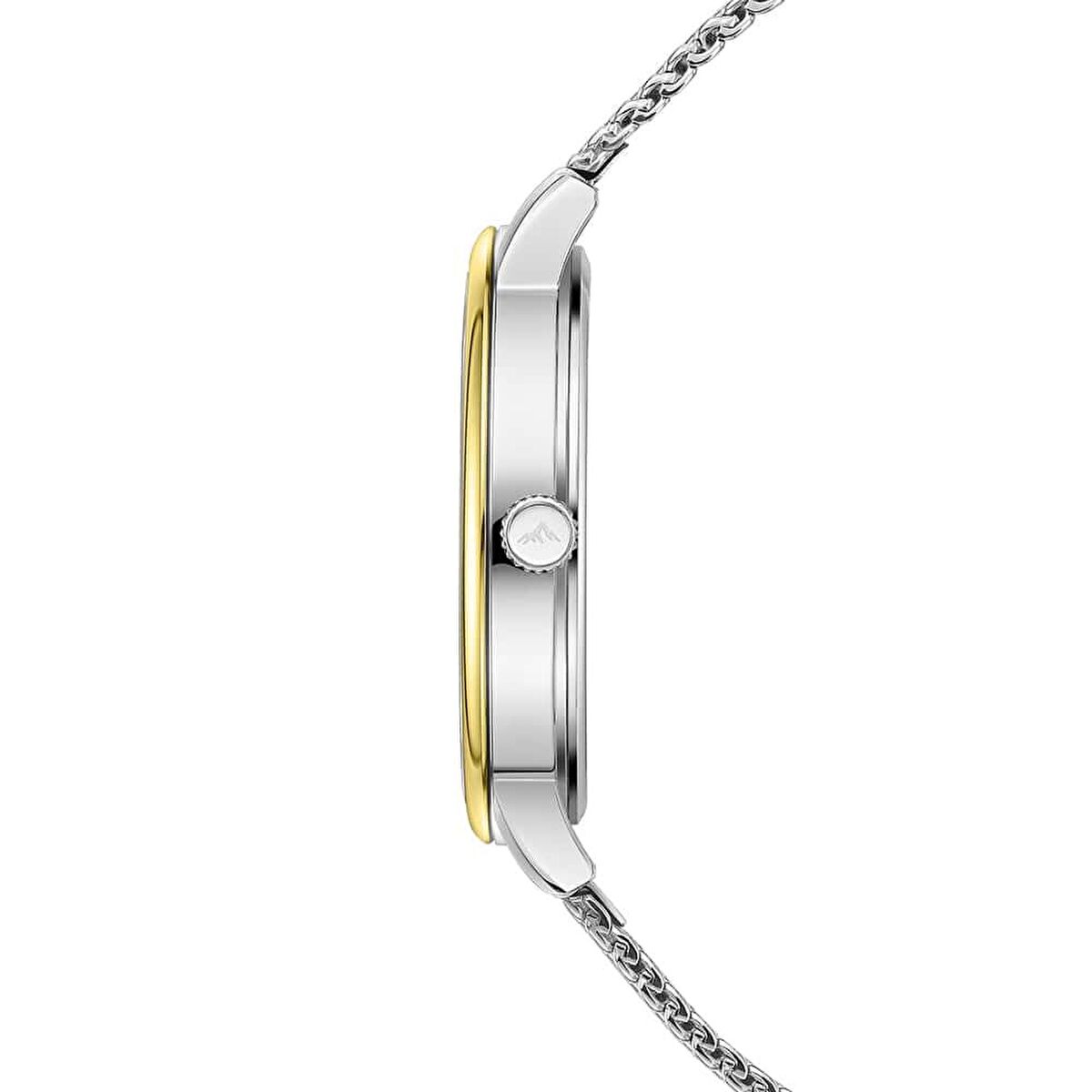 Roche Montre RMG6002-05 Erkek Kol Saati görsel 2