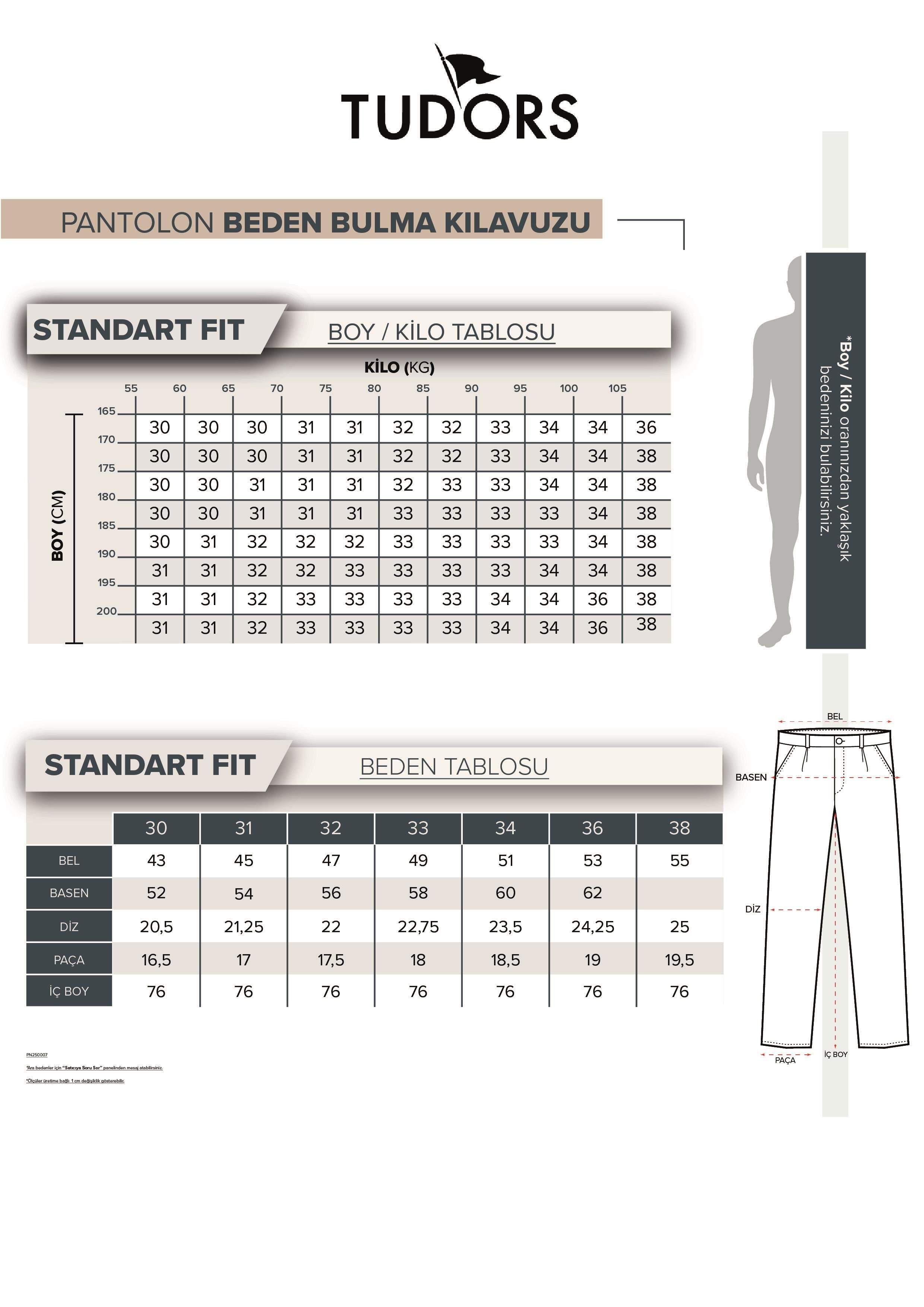 TUDORS Erkek Regular Fit Normal Kesim Denim Yıkamalı Düz Paça Gri Jean Pantolon görsel 6