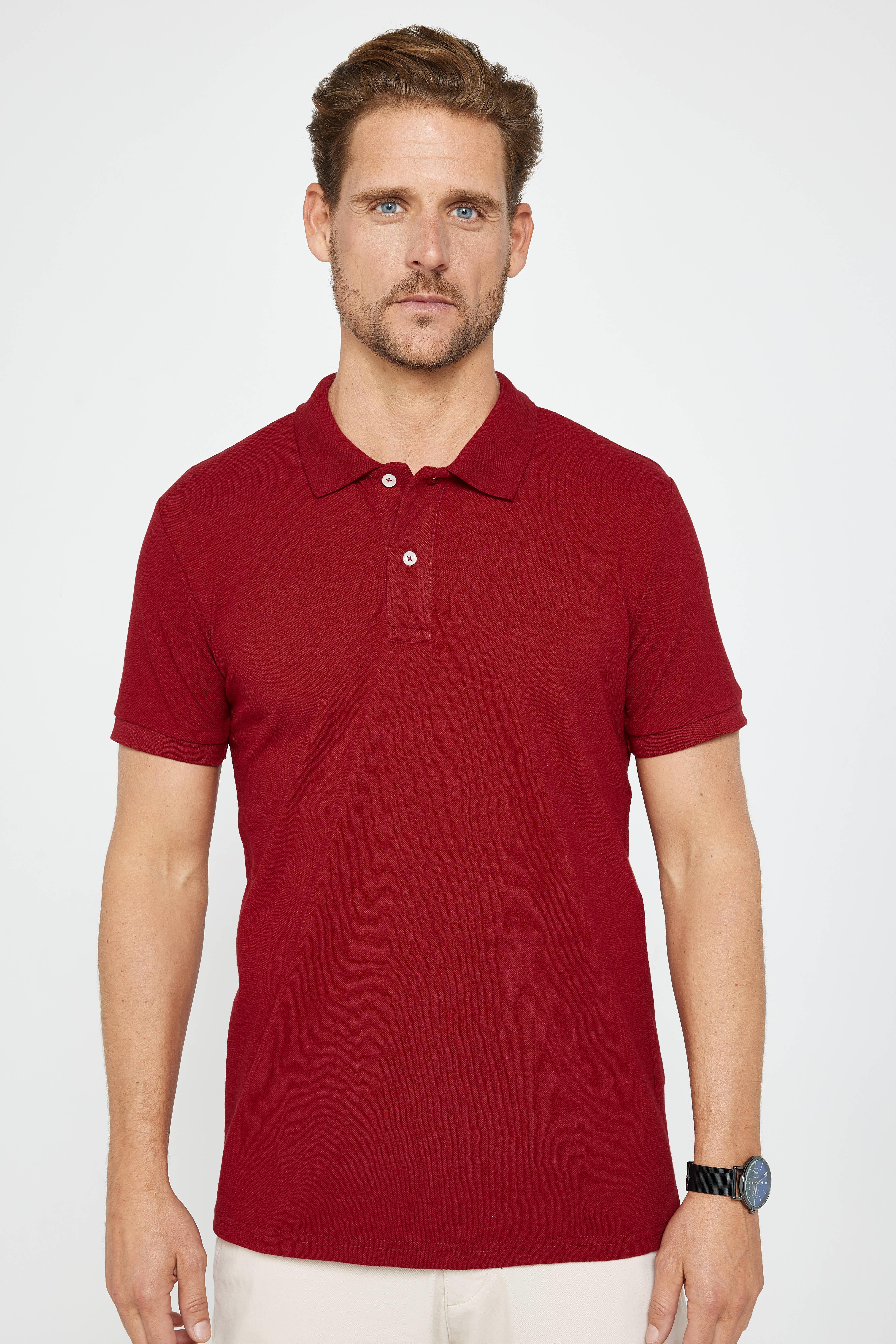 TUDORS Erkek Slim Fit Dar Kesim Pamuklu Yumuşak Dokulu Serin Tutan Kumaş Düz Pike Polo Yaka Tişört görsel 2