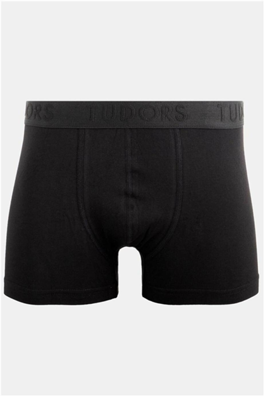 TUDORS Erkek İkili İç Çamaşırı görsel 2