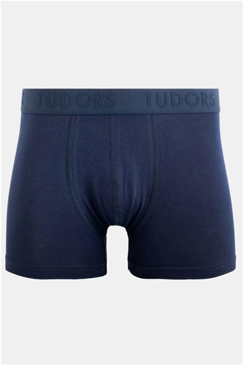 TUDORS Erkek İkili İç Çamaşırı görsel 3