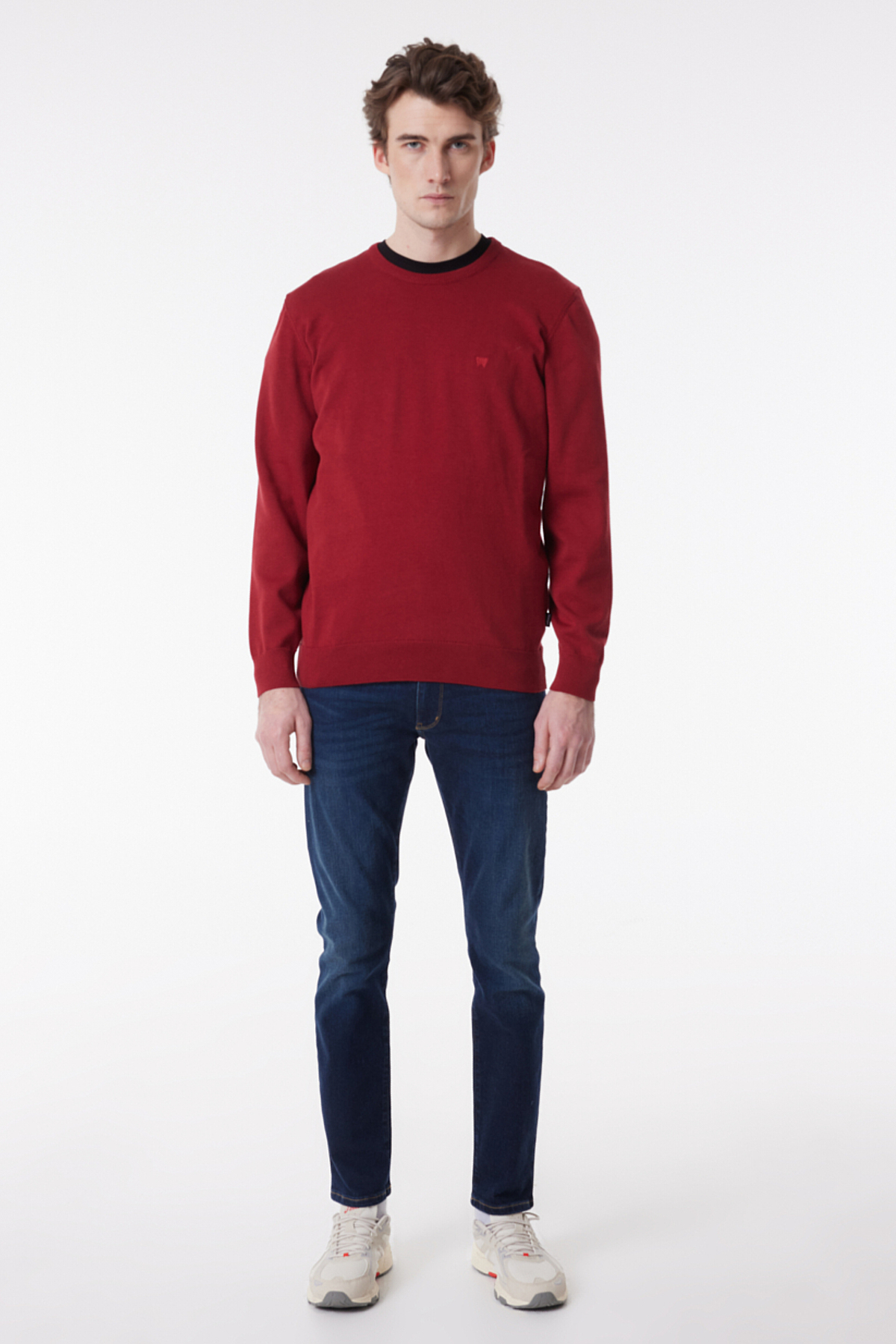 Wrangler Regular Fit Sıfır Yaka Triko görsel 3