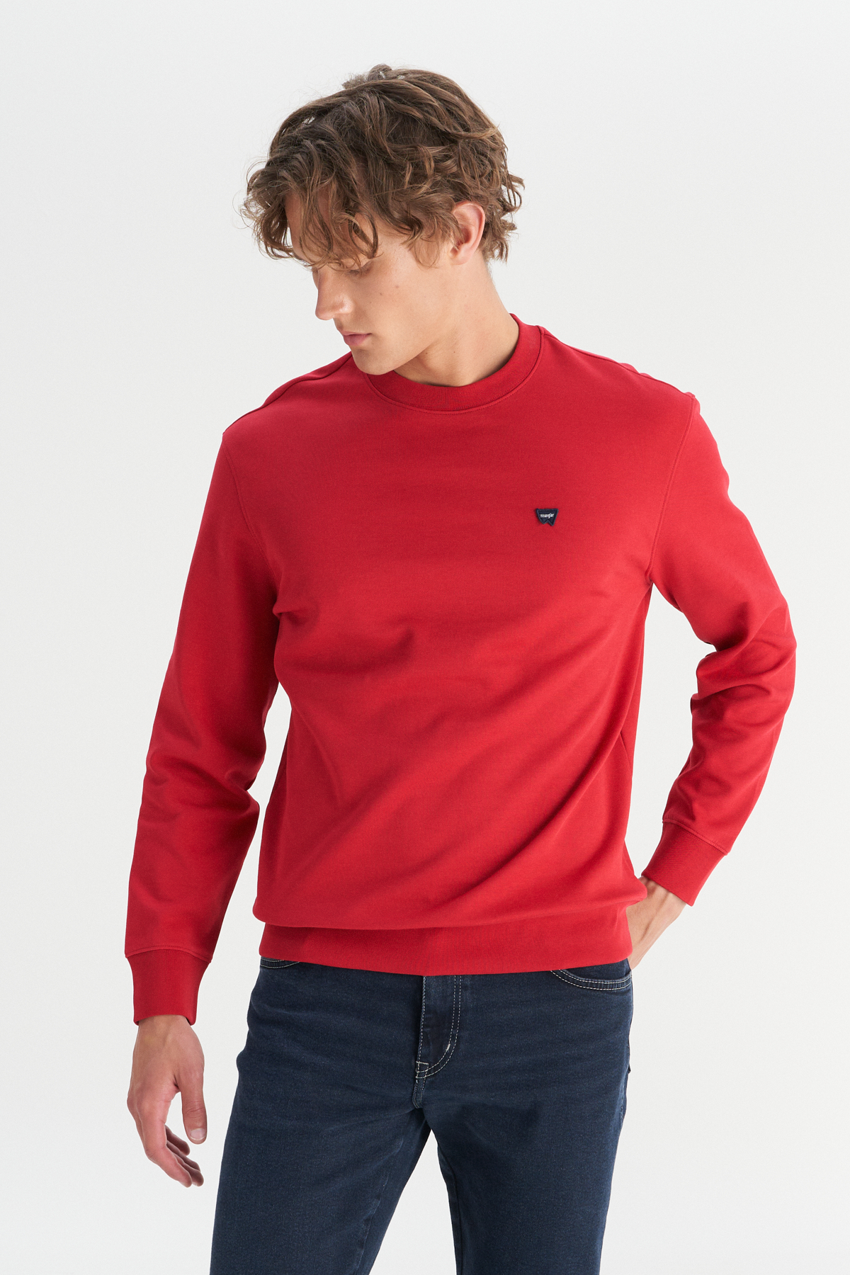 Wrangler Pamuklu Regular Fit Bisiklet Yaka Logo Detaylı Sweatshirt görsel 3