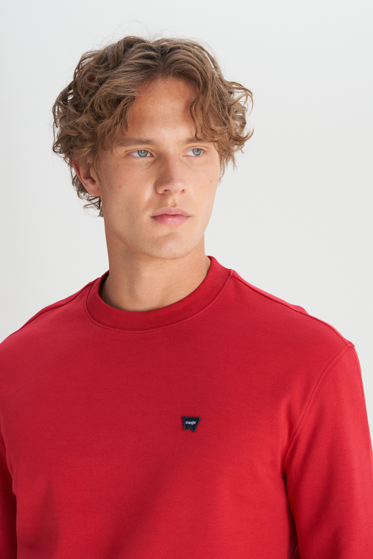Wrangler Pamuklu Regular Fit Bisiklet Yaka Logo Detaylı Sweatshirt görsel 4