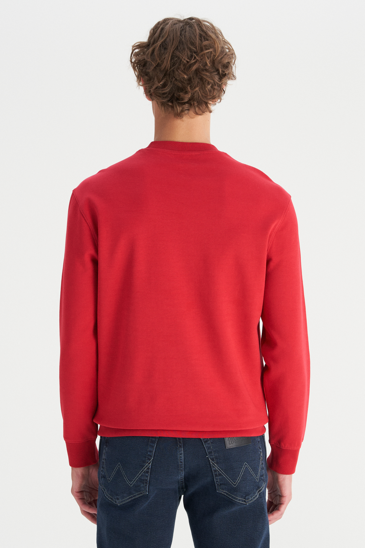 Wrangler Pamuklu Regular Fit Bisiklet Yaka Logo Detaylı Sweatshirt görsel 5