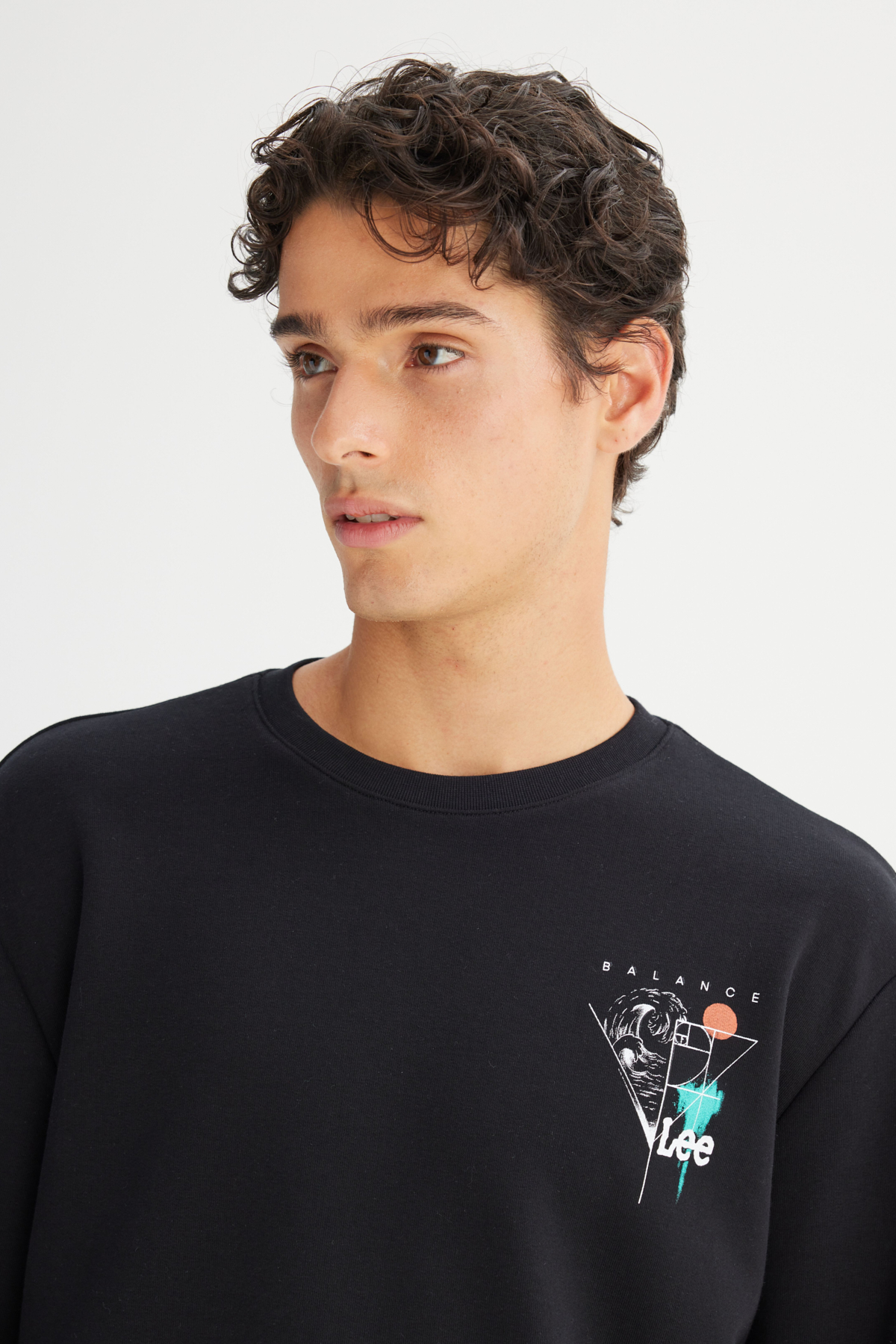 Lee Pamuklu Regular Fit Bisiklet Yaka Sweatshirt görsel 4