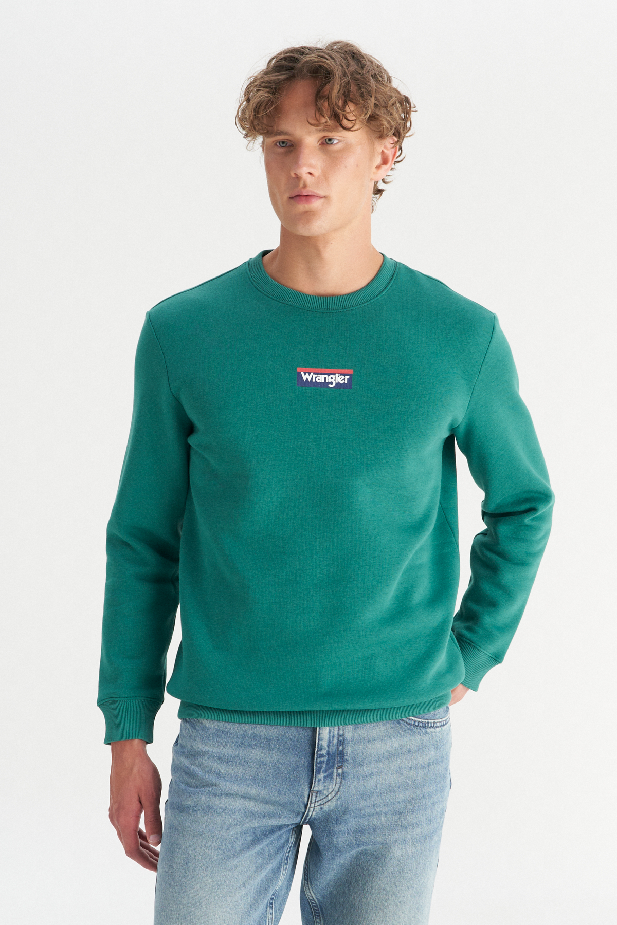 Wrangler Regular Fit Bisiklet Yaka İçi Polarlı Yeşil Sweatshirt görsel 3