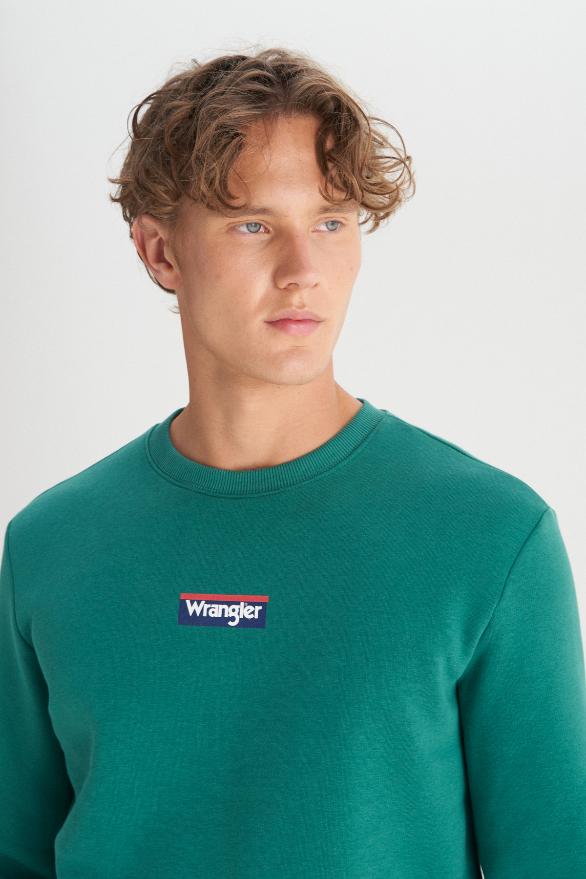 Wrangler Regular Fit Bisiklet Yaka İçi Polarlı Yeşil Sweatshirt görsel 4
