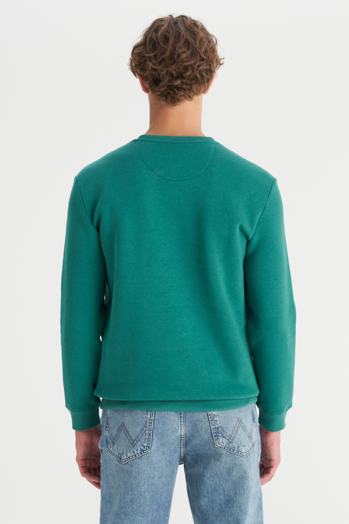 Wrangler Regular Fit Bisiklet Yaka İçi Polarlı Yeşil Sweatshirt görsel 5
