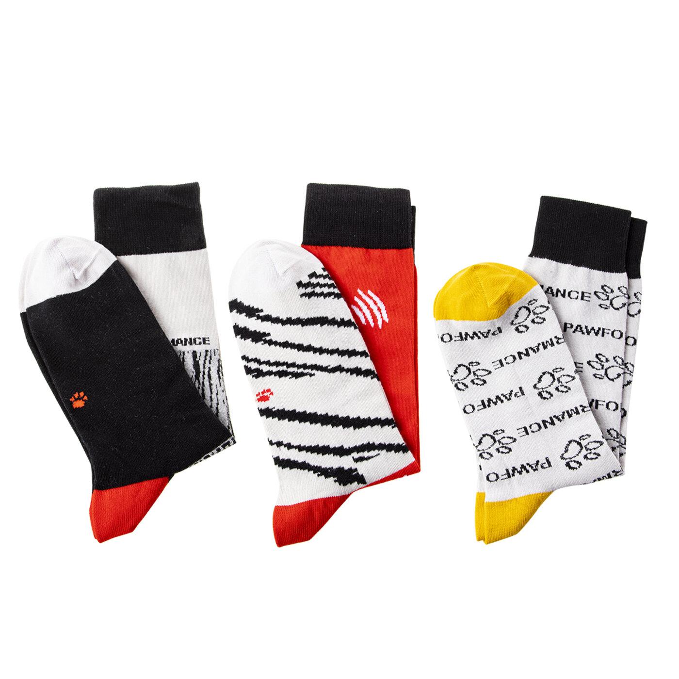 Biggdesign Dogs Pawformance 3'lü Soket Çorap Seti