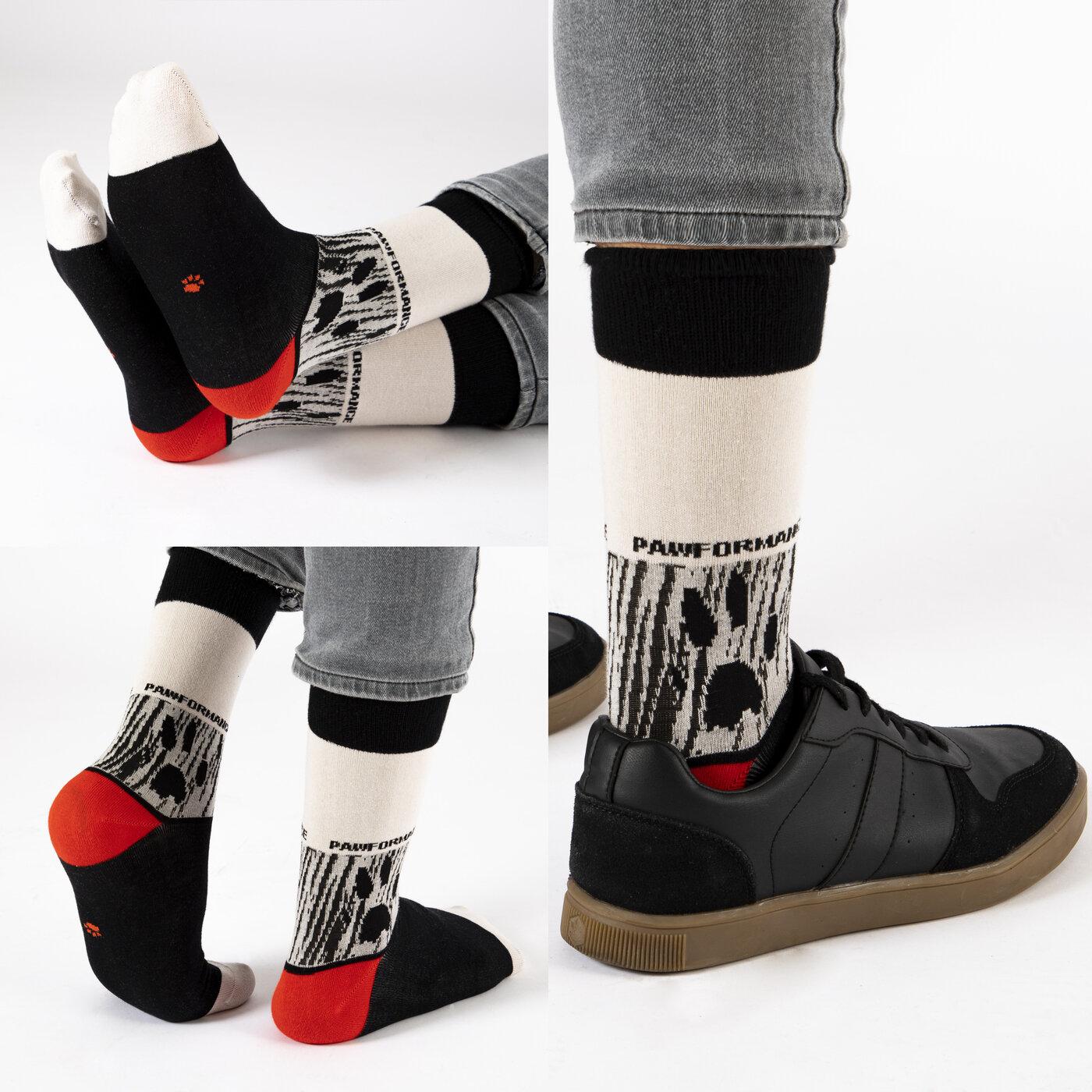 Biggdesign Dogs Pawformance 3'lü Soket Çorap Seti görsel 2