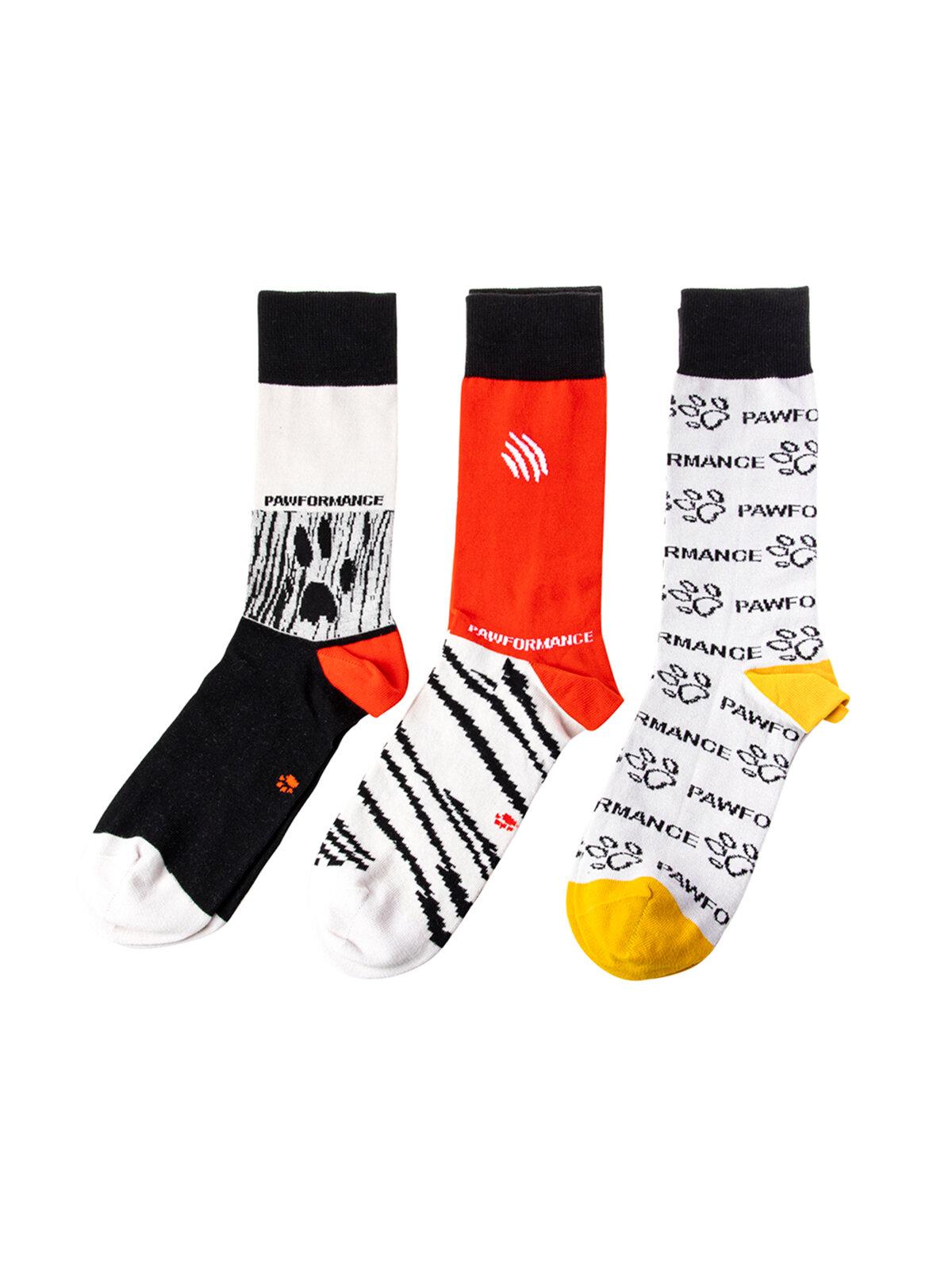 Biggdesign Dogs Pawformance 3'lü Soket Çorap Seti görsel 5