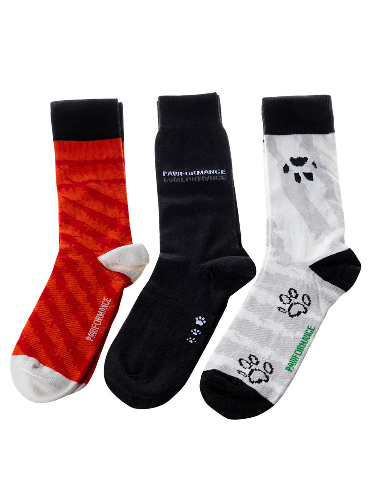 Biggdesign Dogs 3'lü Soket Çorap Seti görsel 5