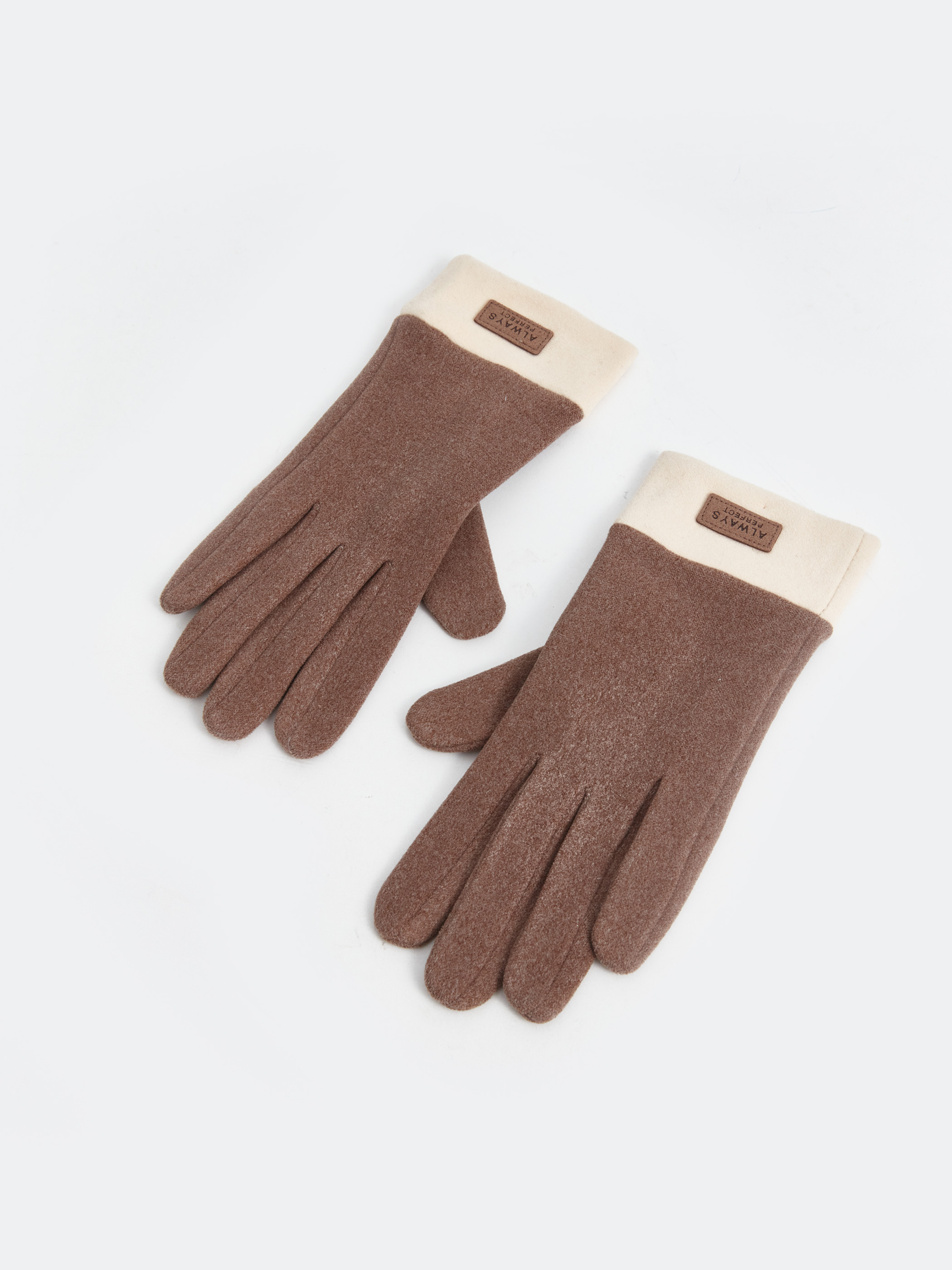 LCW ACCESSORIES Kadın Polar Eldiven görsel 2