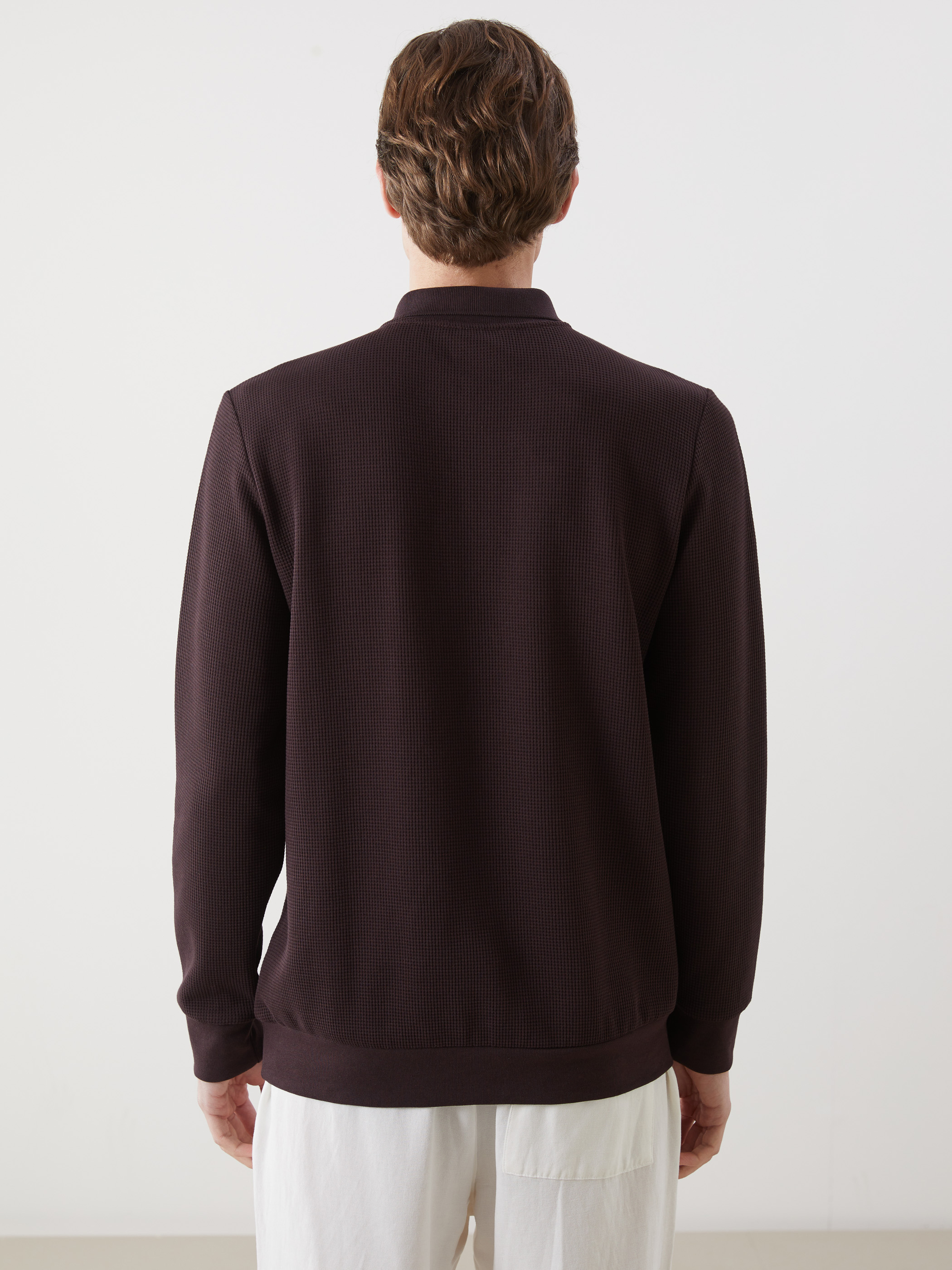 LCWAIKIKI Classic Polo Yaka Uzun Kollu Erkek Sweatshirt görsel 4