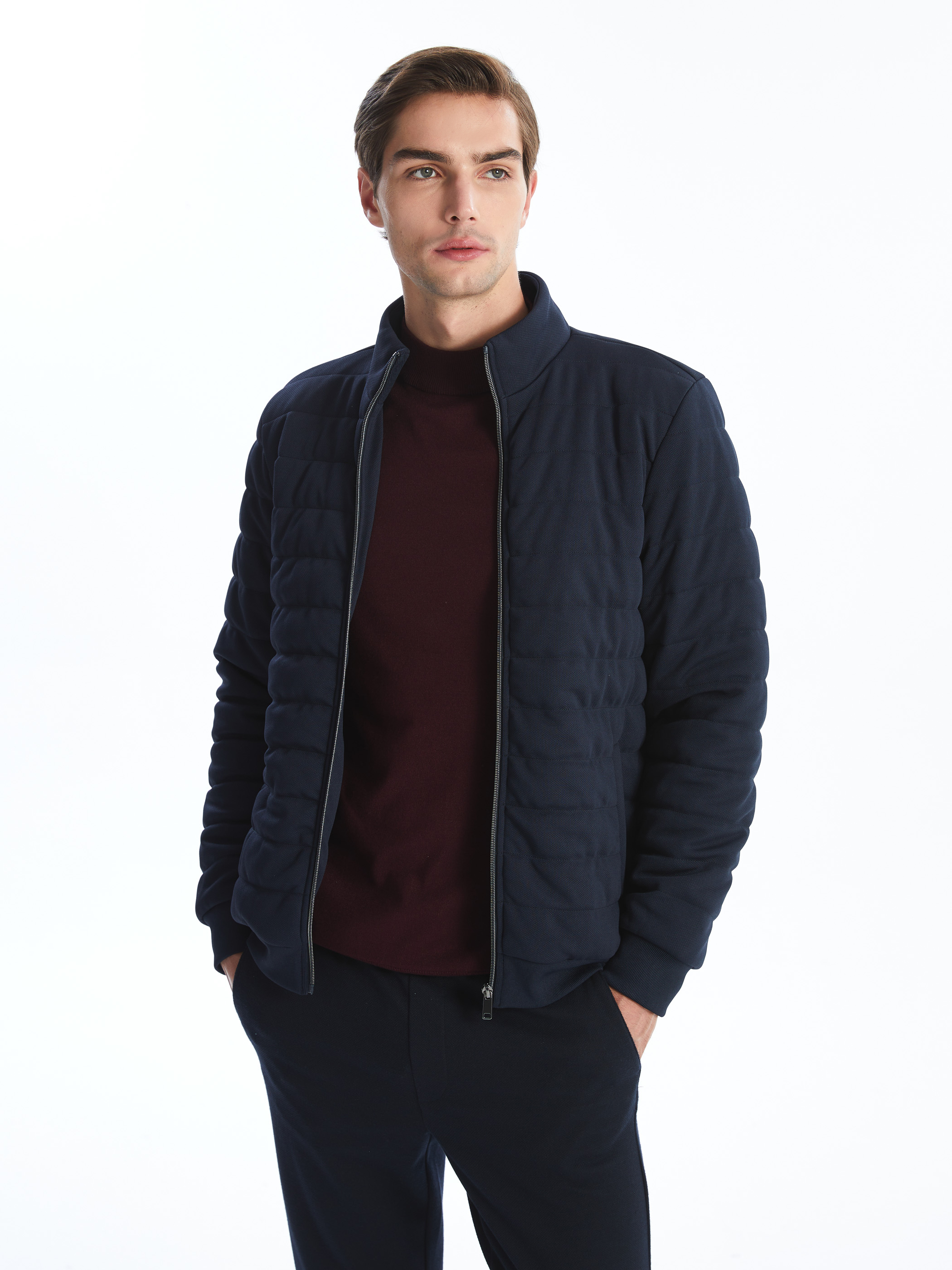 LCW Vision Slim Fit Dik Yaka Erkek Mont görsel 2