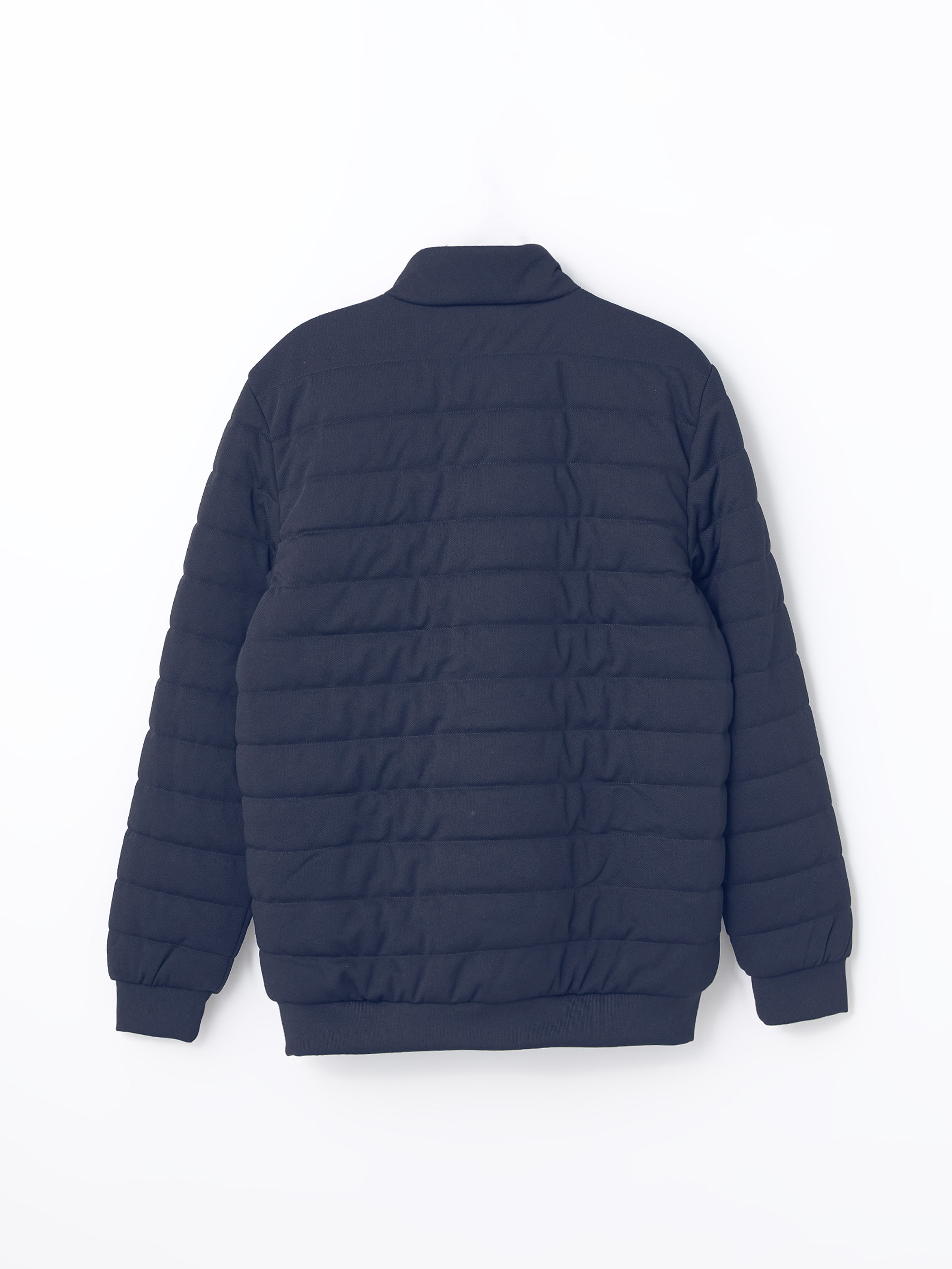LCW Vision Slim Fit Dik Yaka Erkek Mont görsel 7