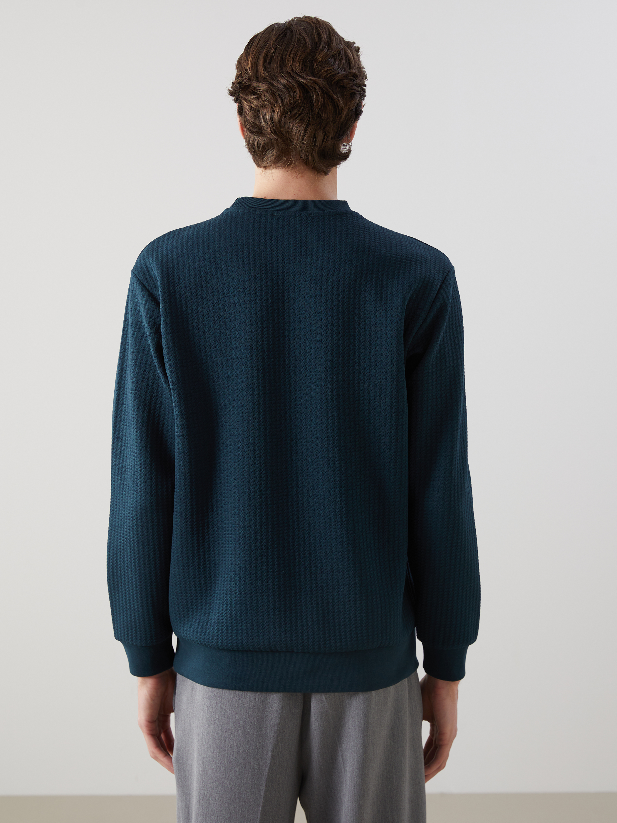 LCW Vision Bisiklet Yaka Uzun Kollu Erkek Sweatshirt görsel 4