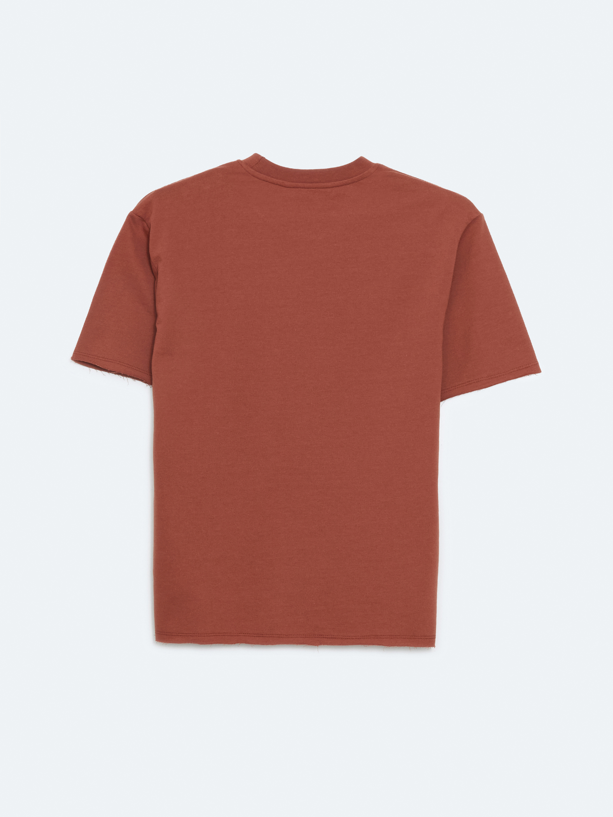 XSIDE Bisiklet Yaka Erkek Tişört görsel 6