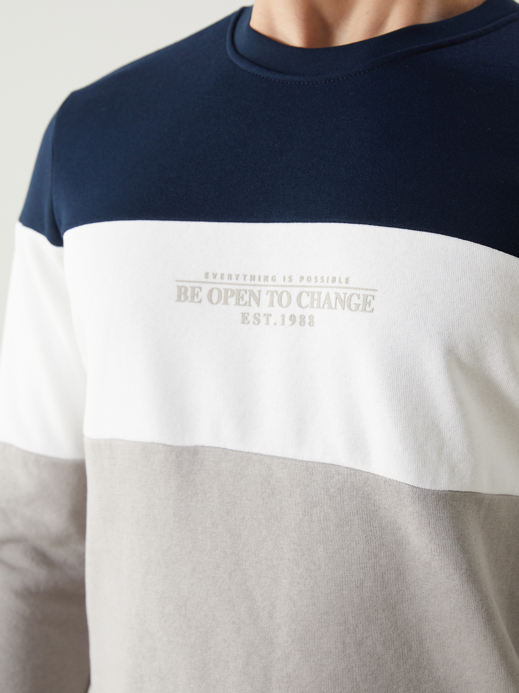 LCWAIKIKI Classic Bisiklet Yaka Uzun Kollu Renk Bloklu Erkek Sweatshirt görsel 3