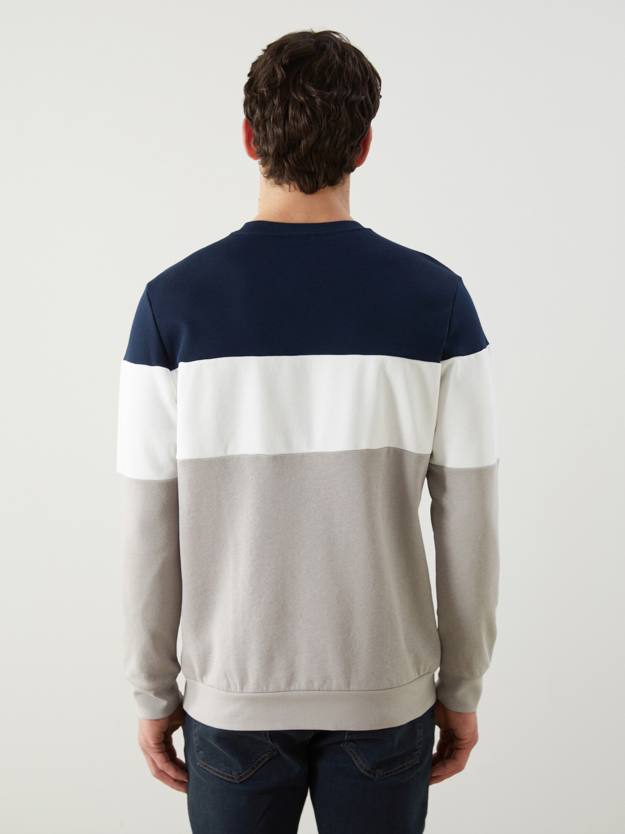 LCWAIKIKI Classic Bisiklet Yaka Uzun Kollu Renk Bloklu Erkek Sweatshirt görsel 4