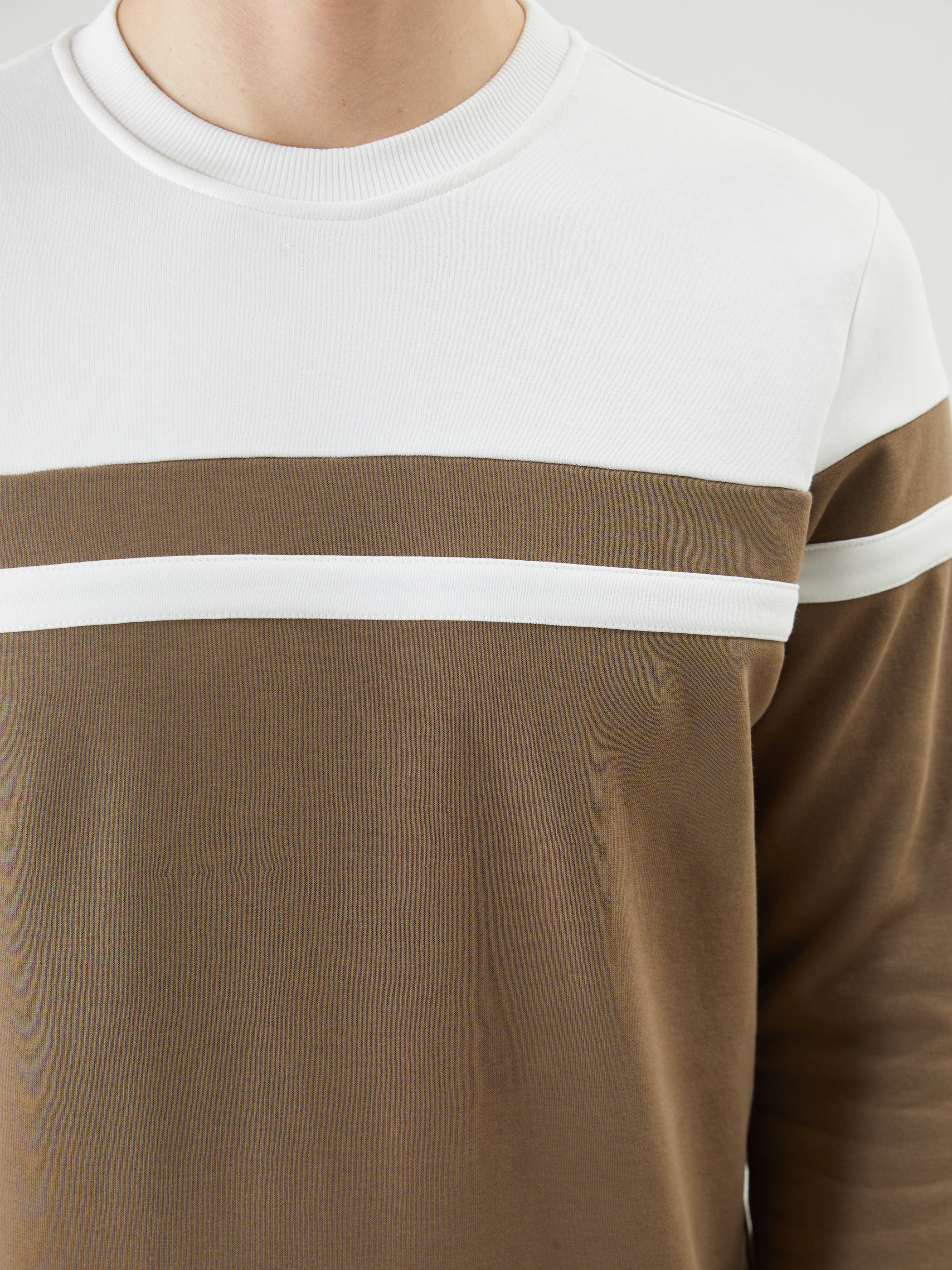 LCWAIKIKI Classic Bisiklet Yaka Uzun Kollu Renk Bloklu Erkek Sweatshirt görsel 3