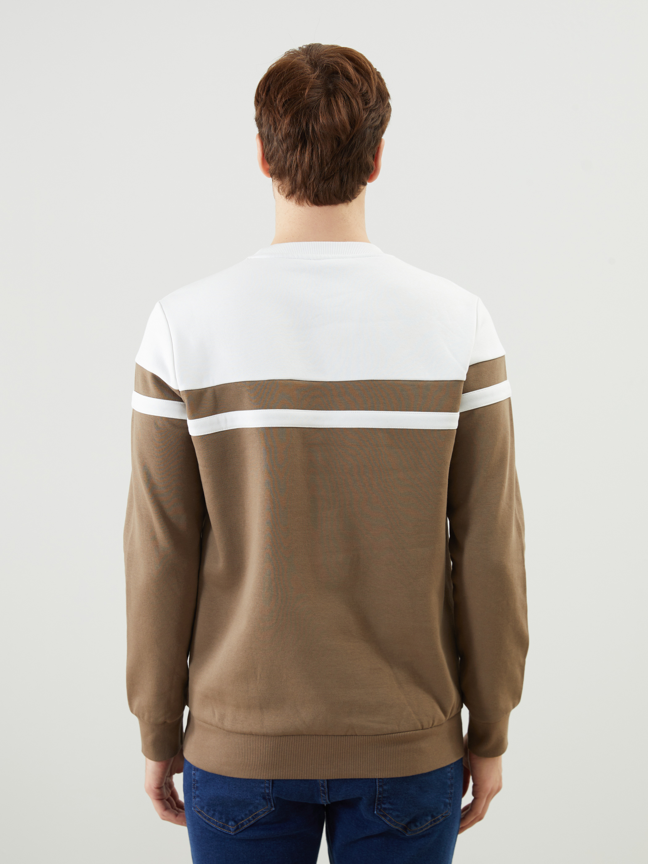 LCWAIKIKI Classic Bisiklet Yaka Uzun Kollu Renk Bloklu Erkek Sweatshirt görsel 4