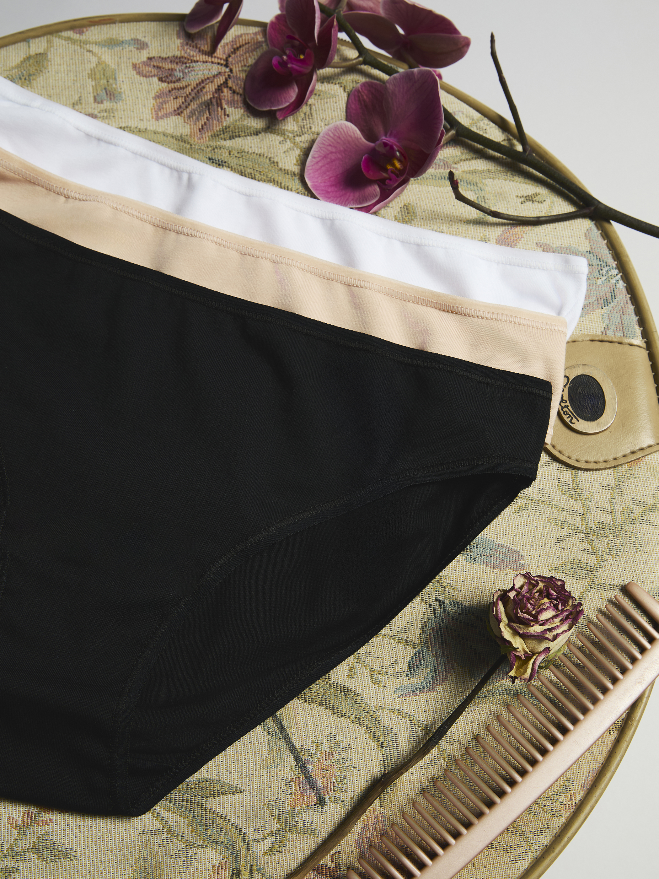 LCW DREAM Düz Bikini Külot 3'lü