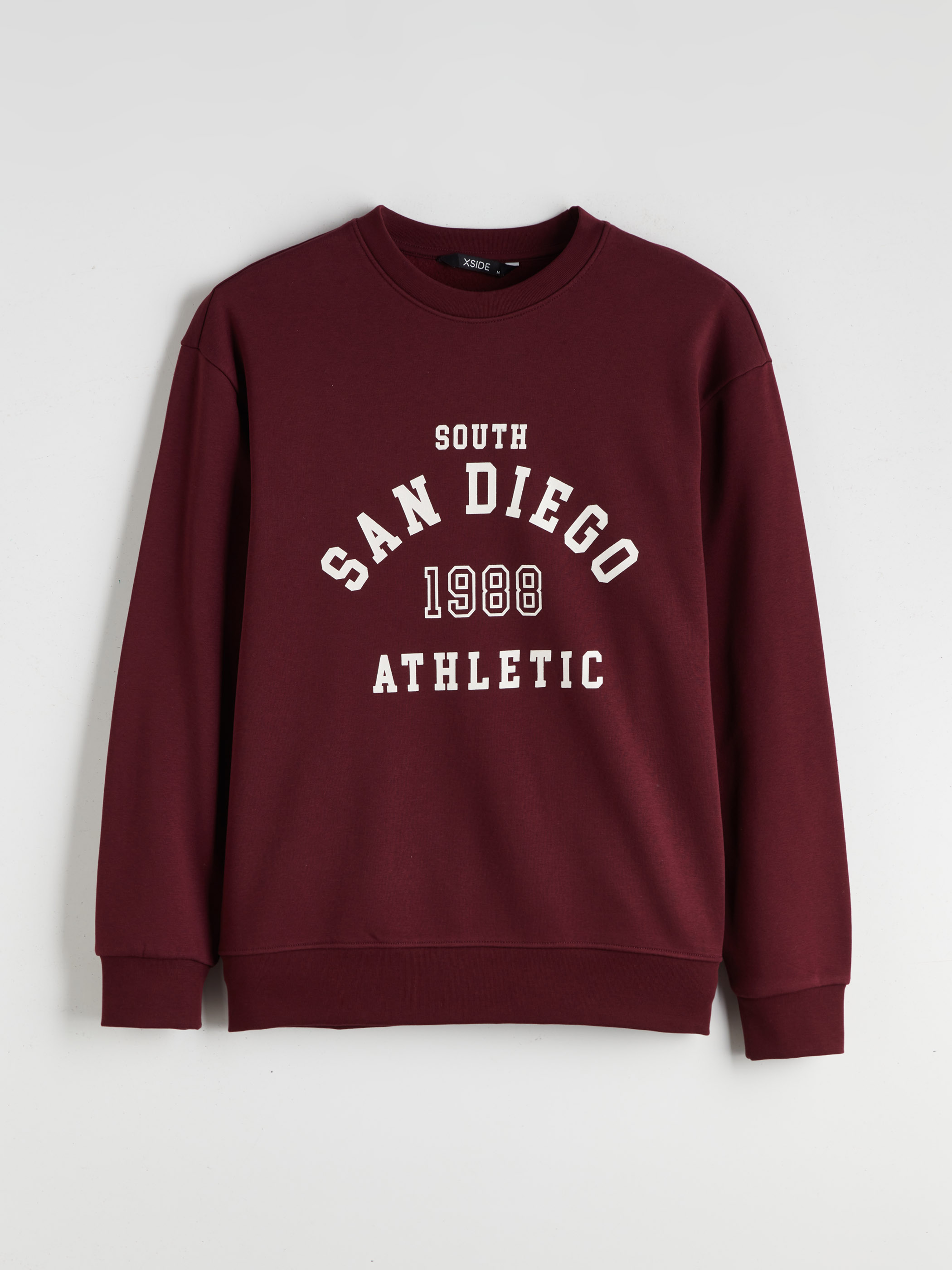 XSIDE Bisiklet Yaka Baskılı Erkek Sweatshirt görsel 5