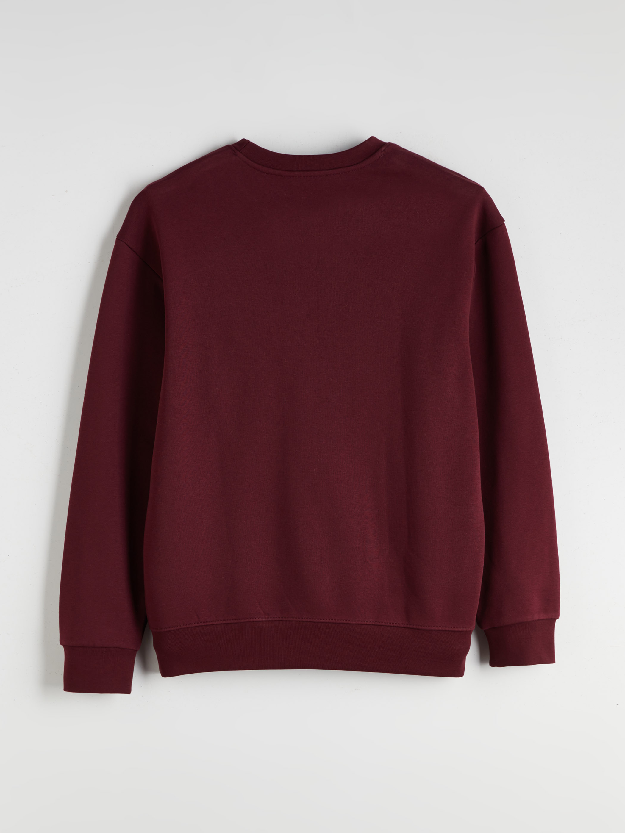 XSIDE Bisiklet Yaka Baskılı Erkek Sweatshirt görsel 6