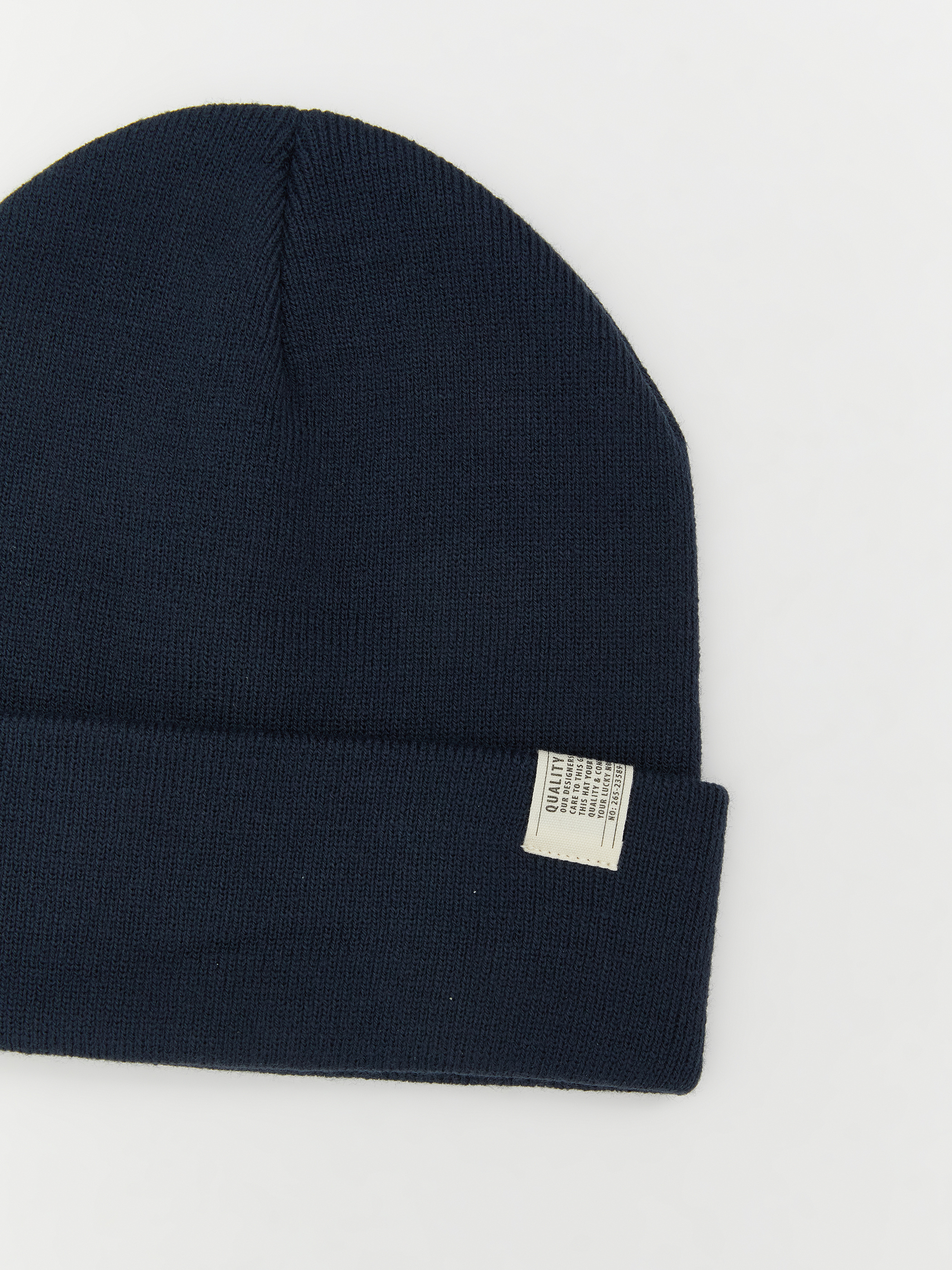 LCW ACCESSORIES Etiket Baskılı Erkek Triko Bere görsel 2