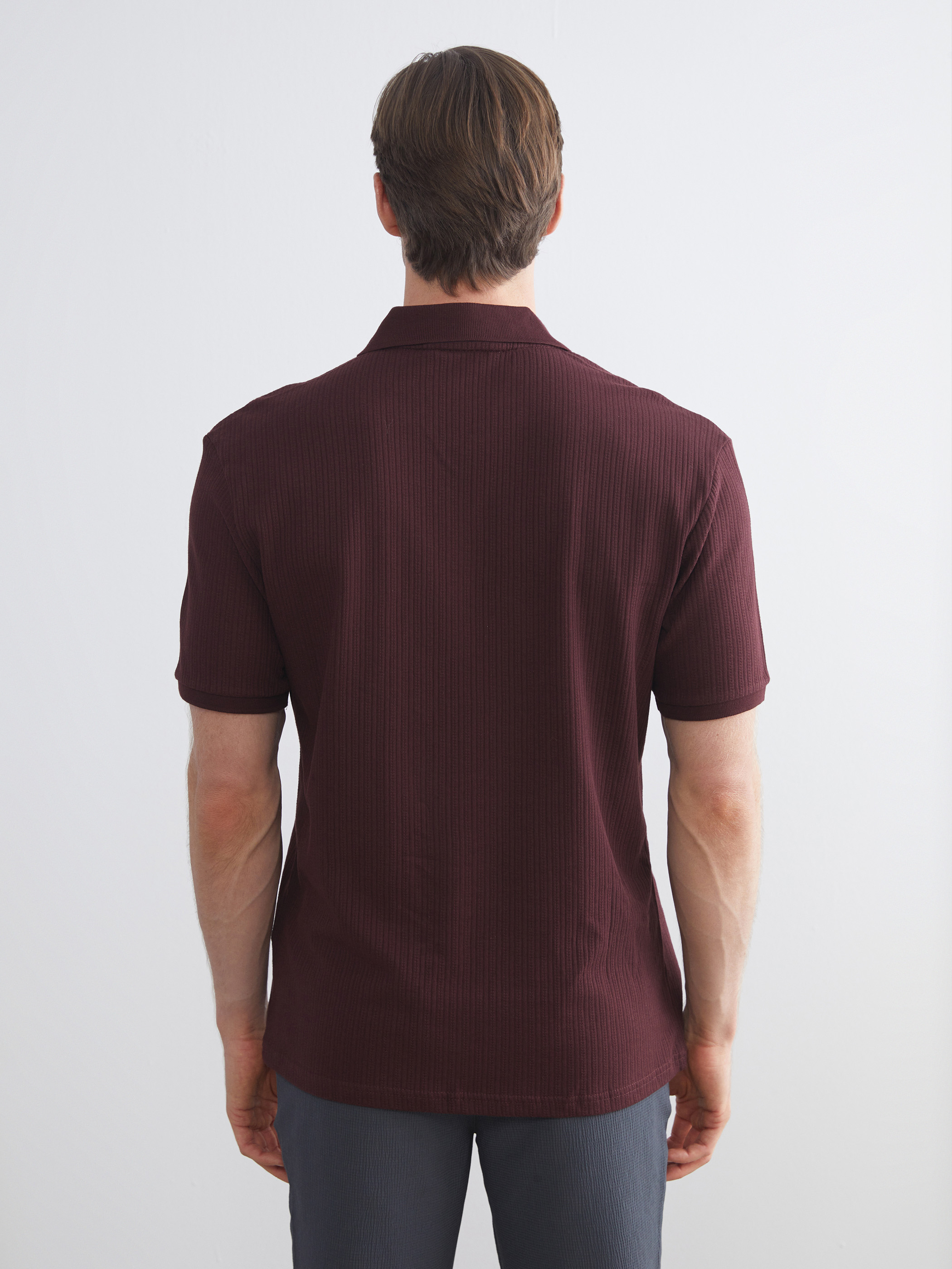 LCW Vision Polo Yaka Erkek Tişört görsel 5