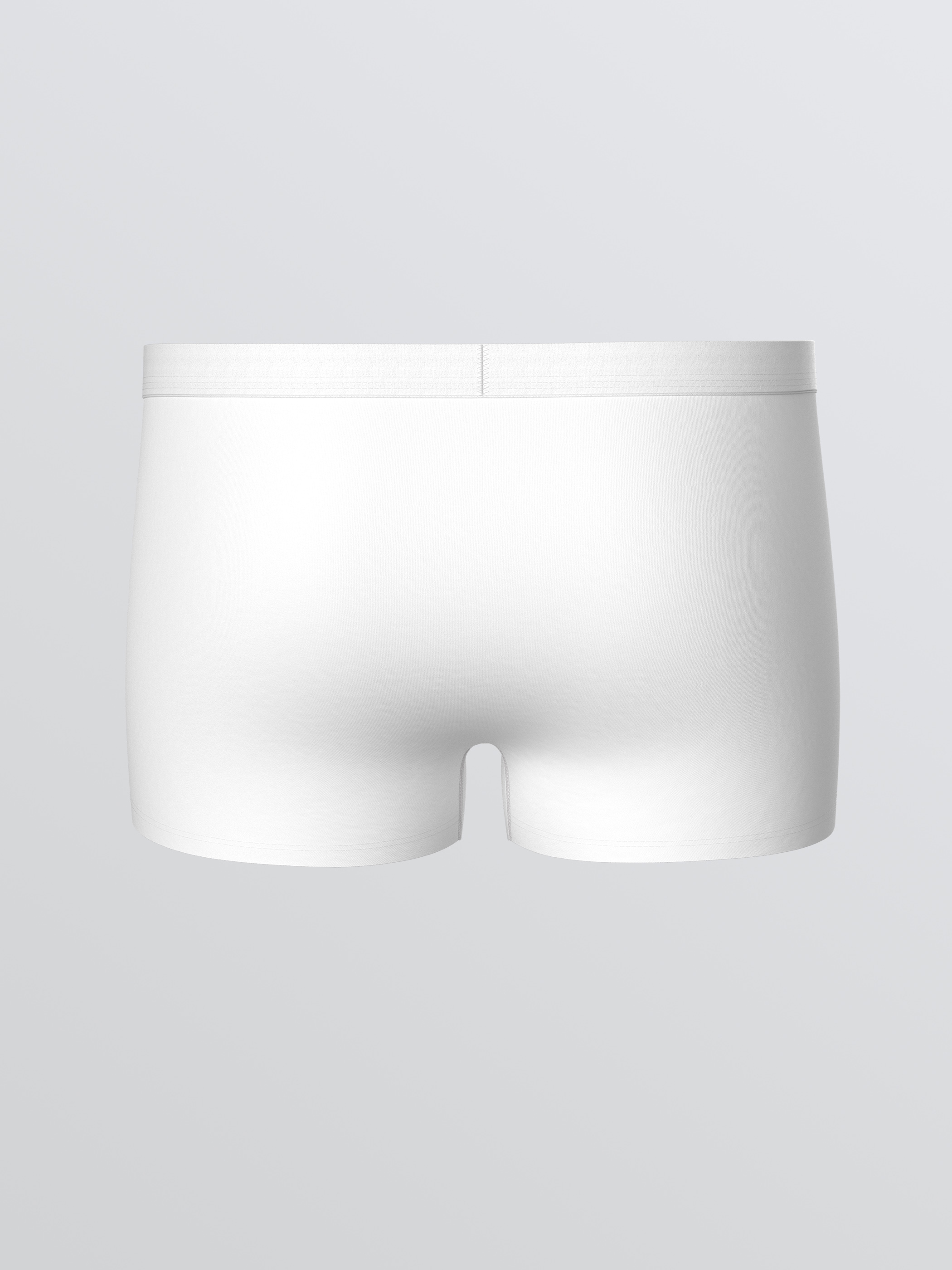 LC WAIKIKI Büyük Beden Standart Kalıp Pamuklu Esnek Erkek Boxer 3'lü görsel 3