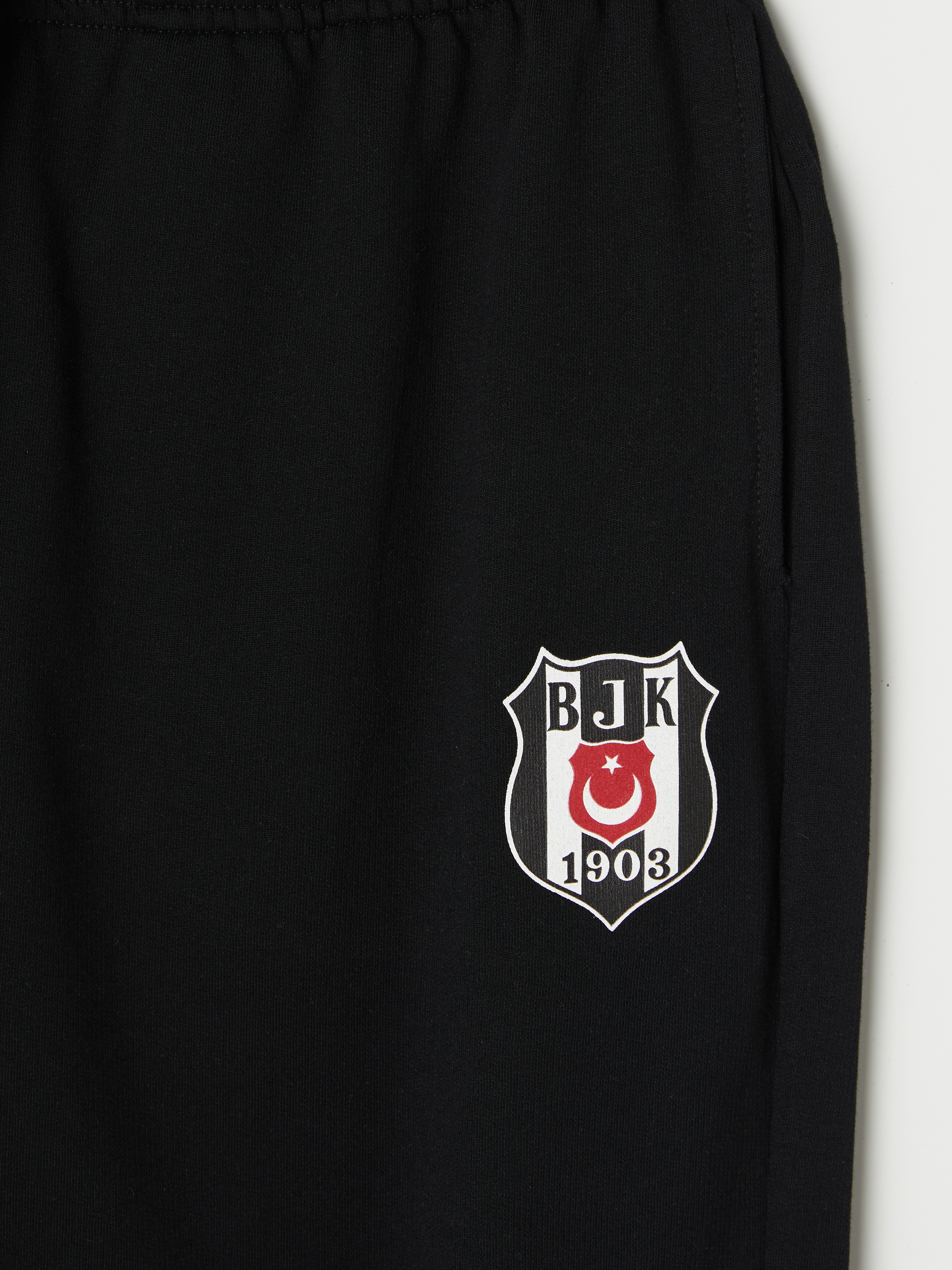 LC WAIKIKI Regular Fit Beşiktaş Baskılı Erkek Pijama Alt görsel 2