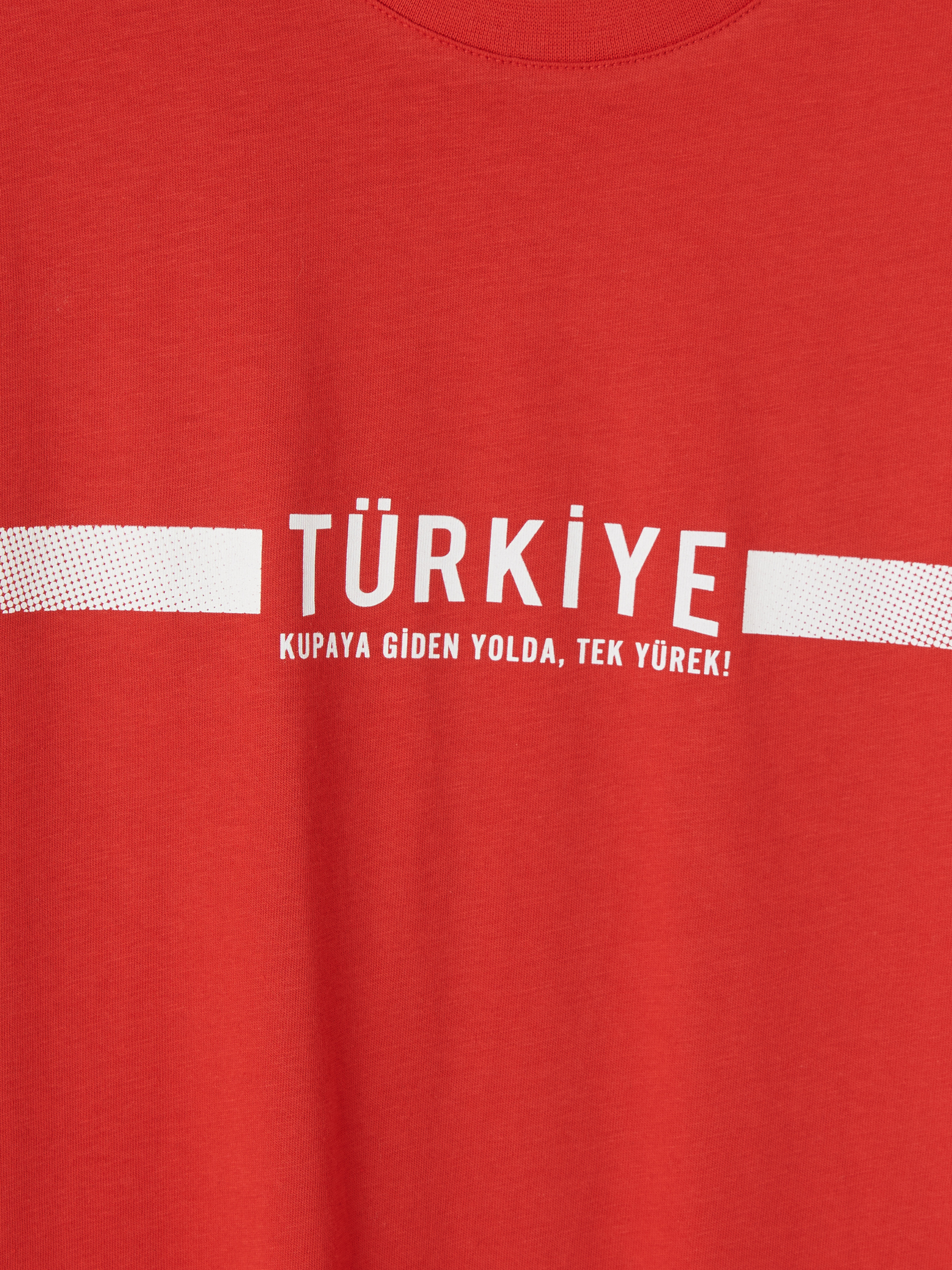 LCWAIKIKI Classic Bisiklet Yaka Türkiye Baskılı Erkek Tişört görsel 6