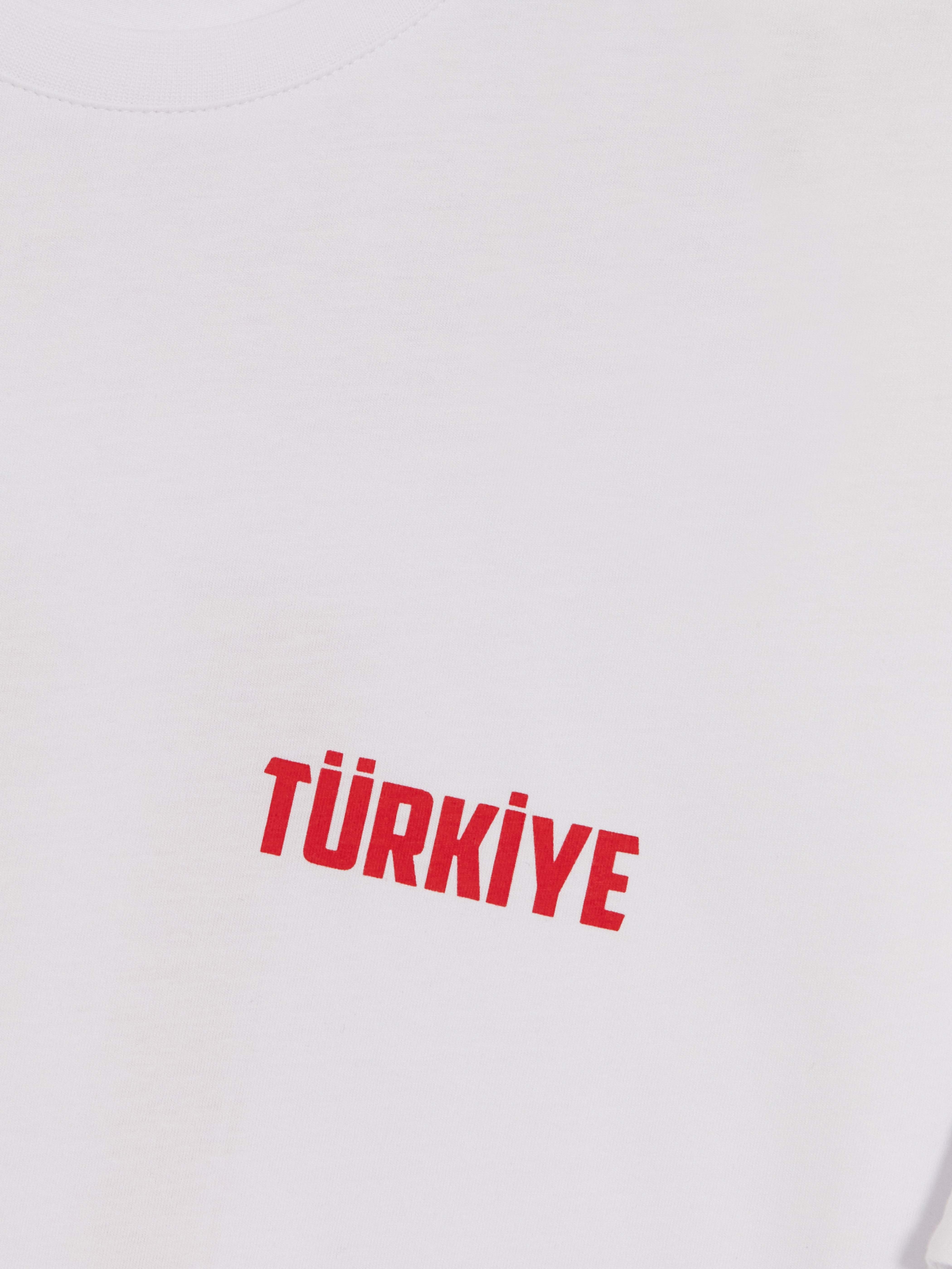 LC WAIKIKI Türkiye Baskılı Erkek Şortlu Pijama Takımı görsel 7