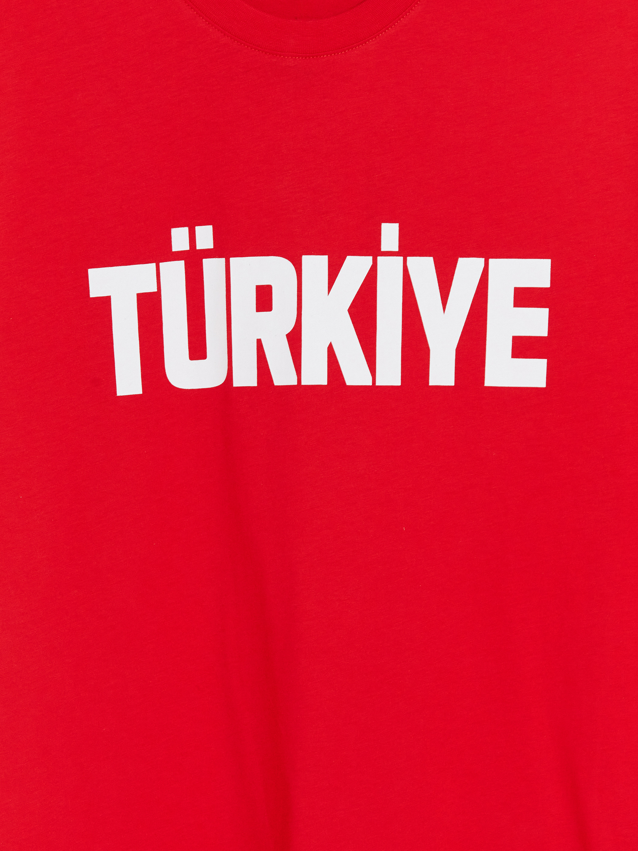 XSIDE Bisiklet Yaka Türkiye Baskılı Erkek Tişört görsel 3