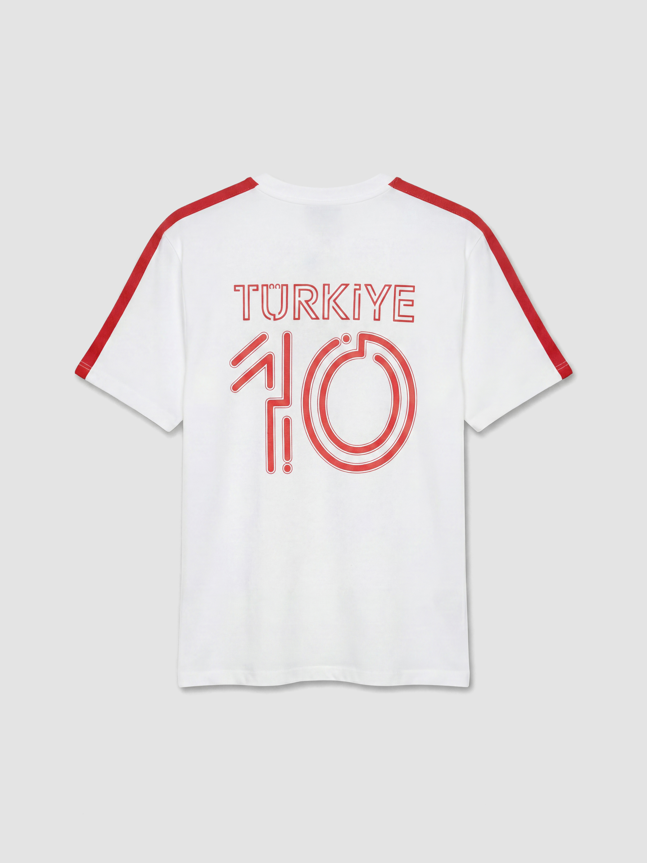 XSIDE Bisiklet Yaka Türkiye Baskılı Erkek Tişört görsel 7