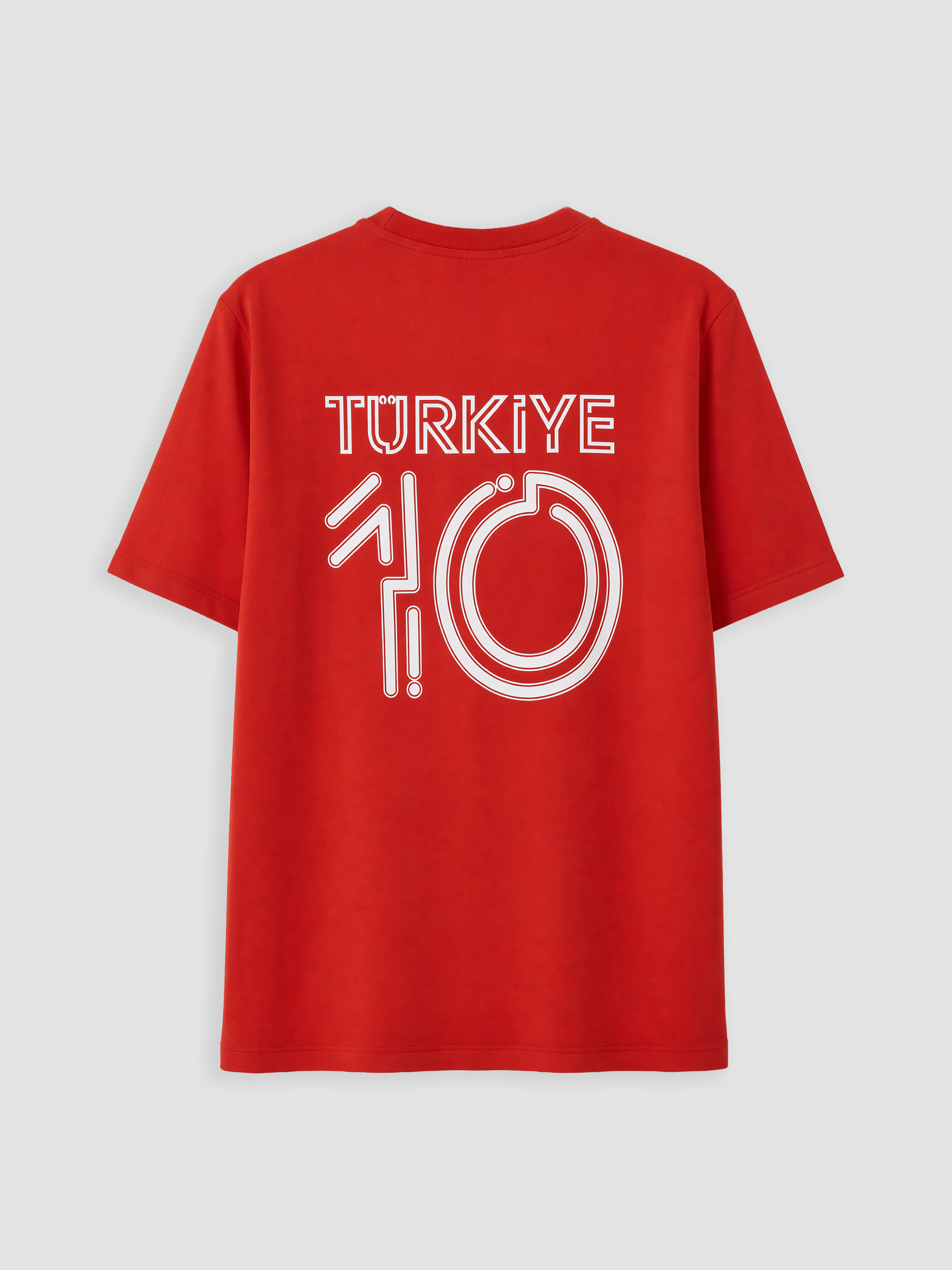 XSIDE Türkiye Baskılı Bisiklet Yaka Erkek Tişört görsel 5