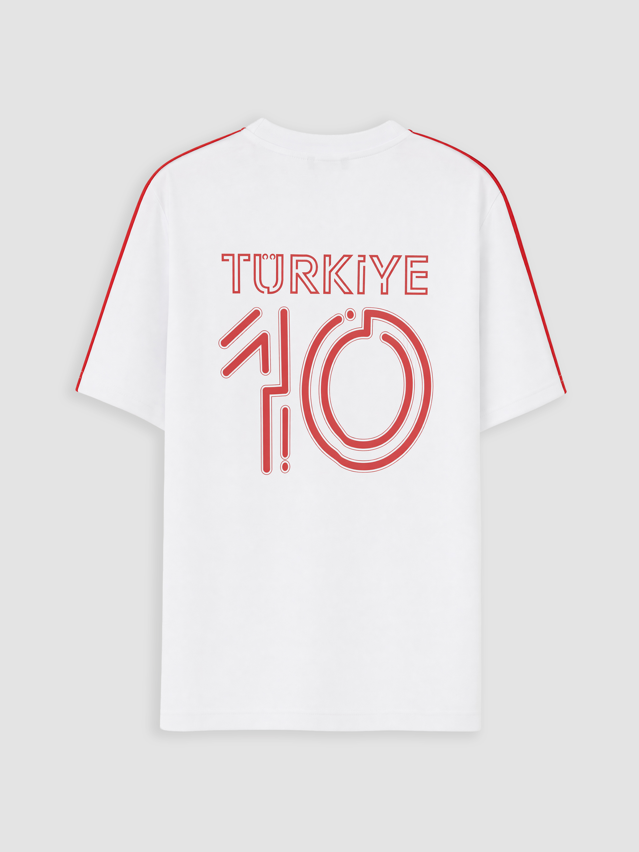 XSIDE Bisiklet Yaka Türkiye Baskılı Erkek Tişört görsel 6