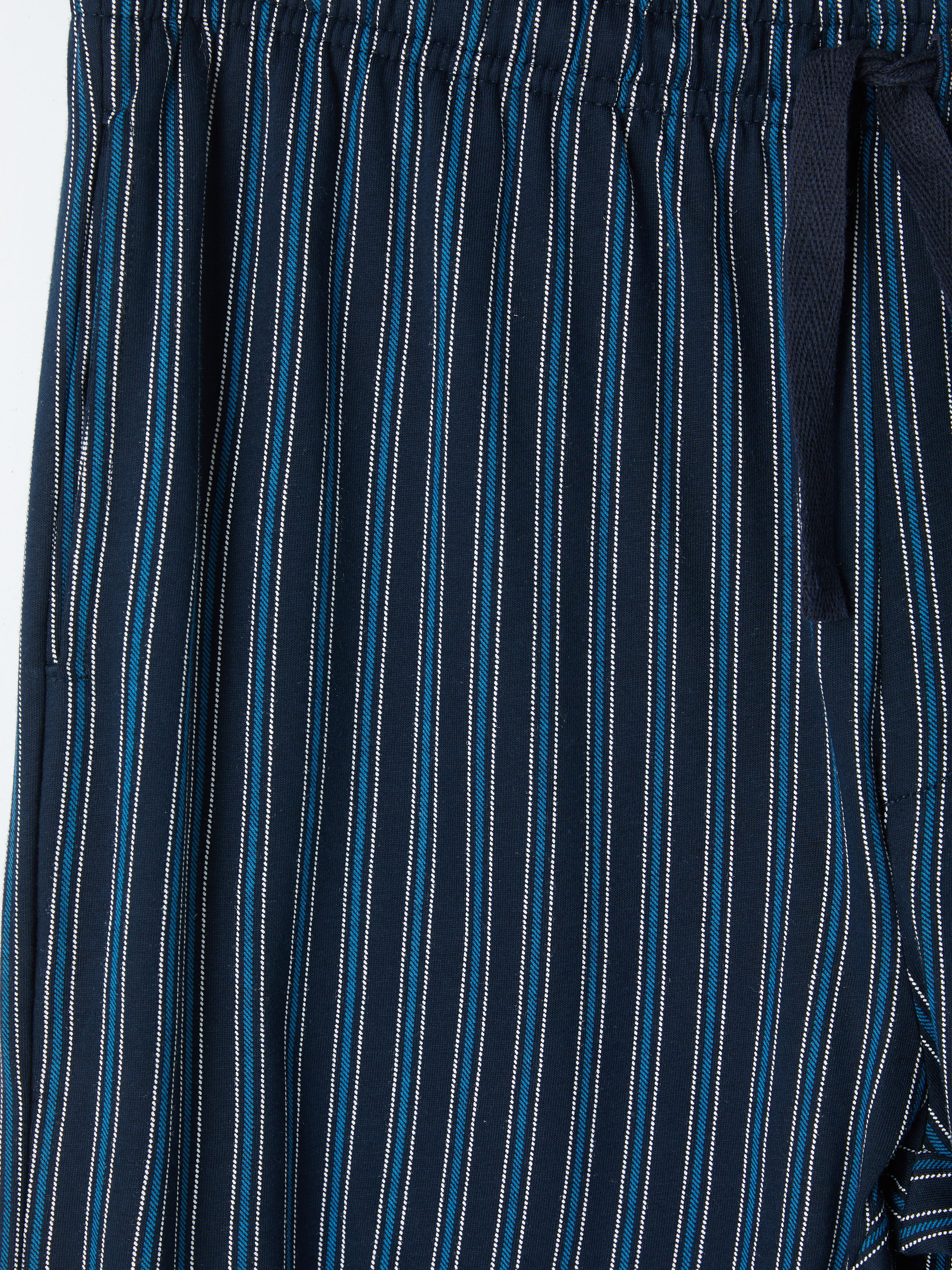 LC WAIKIKI Regular Fit Çizgili Erkek Pijama Altı görsel 6