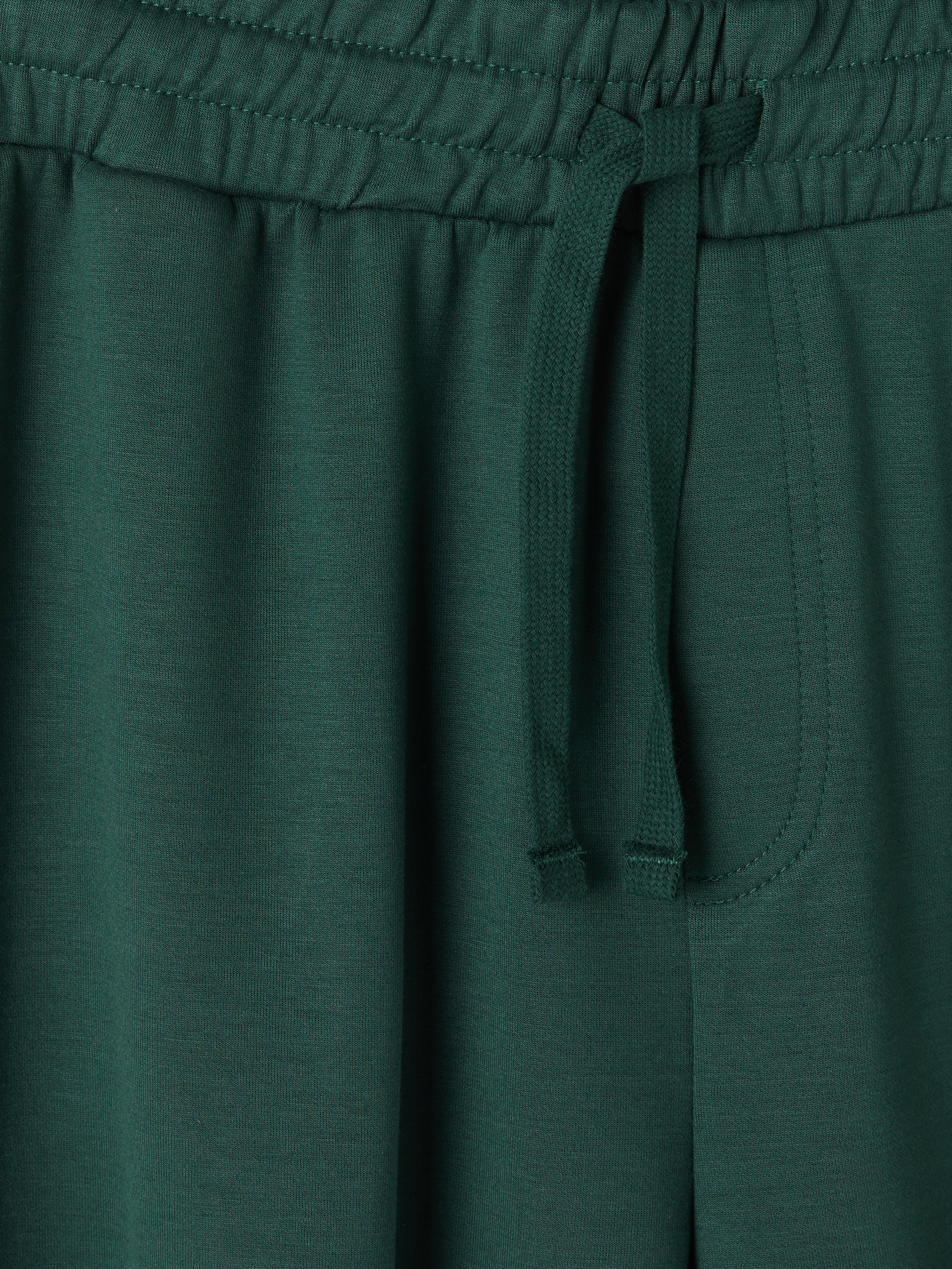 LC WAIKIKI Regular Fit Erkek Pijama Alt Şort görsel 2