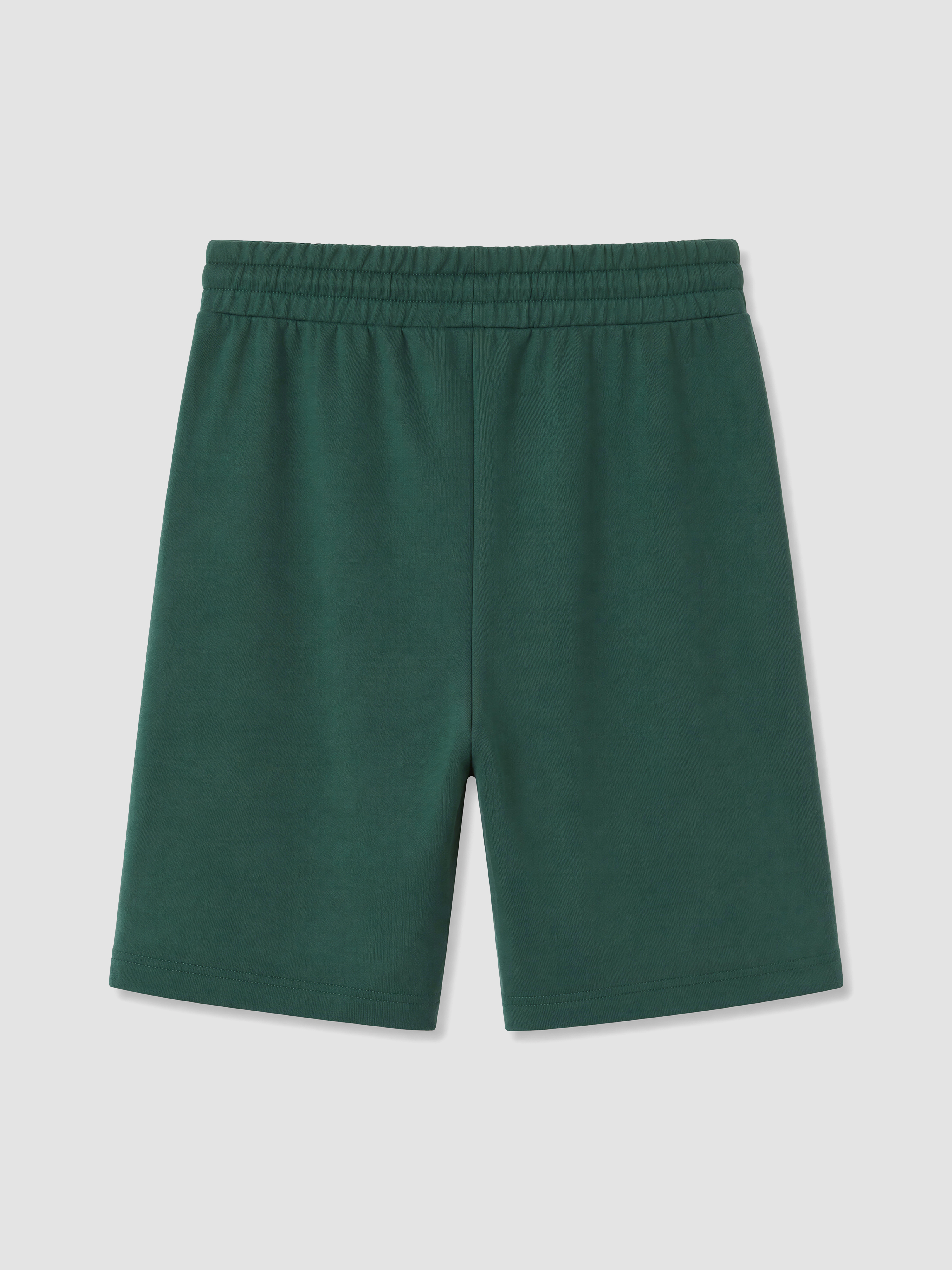 LC WAIKIKI Regular Fit Erkek Pijama Alt Şort görsel 4