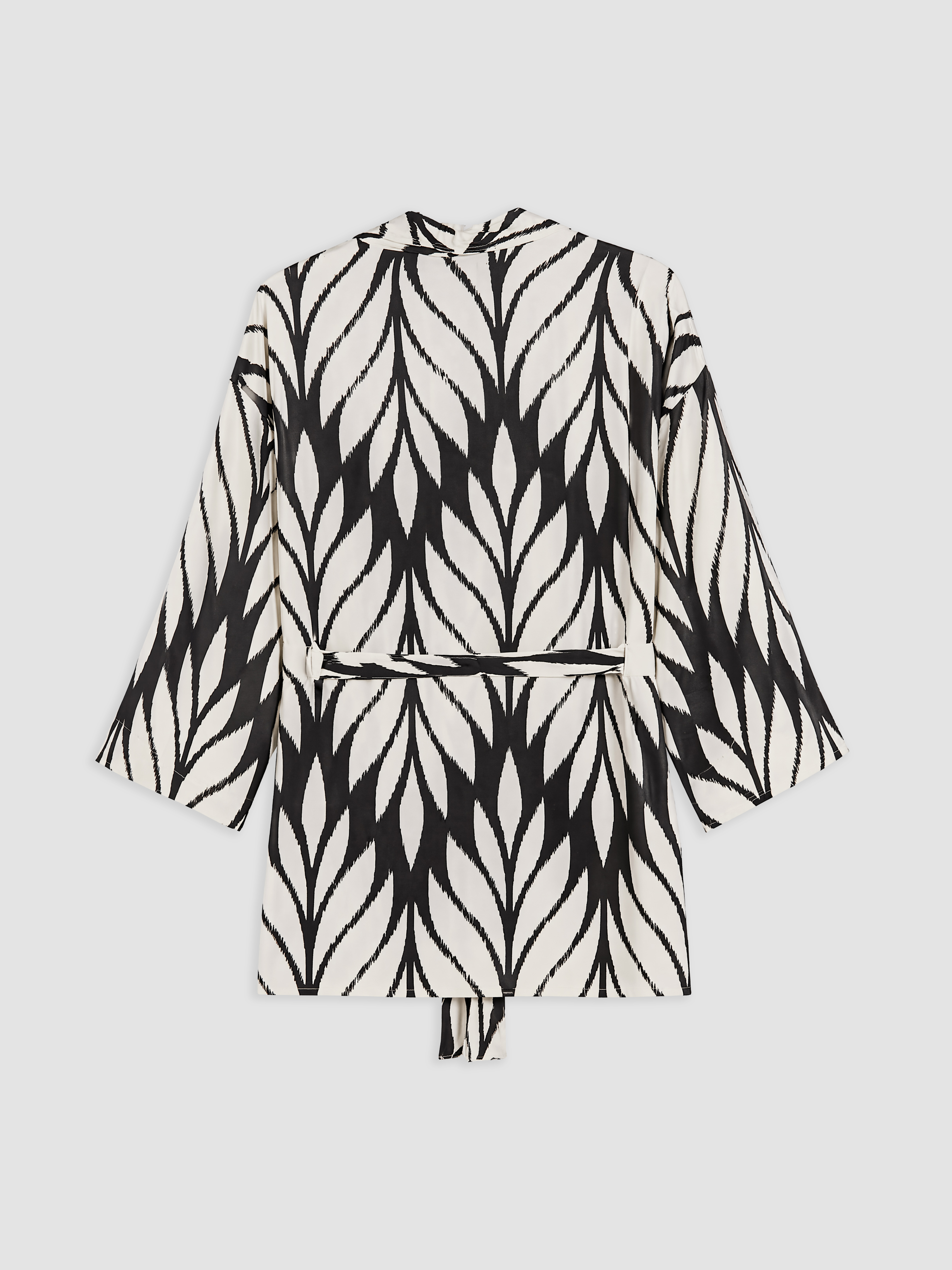 LCW EVERYDAY Şal Yaka Desenli Kadın Kimono görsel 5